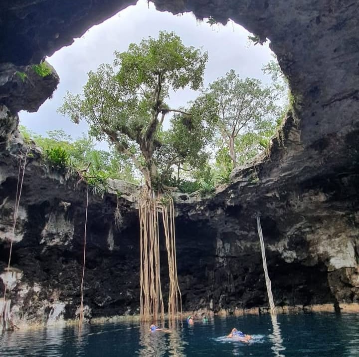 TOUR 4 CENOTES