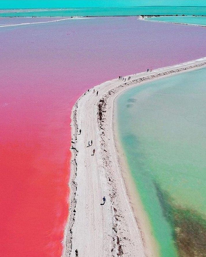 Tours Coloradas y Rio lagartos con Lancha y Cancunito