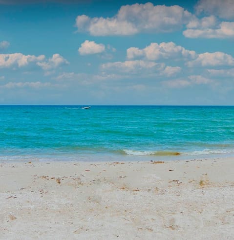Tour Playa de Sisal 