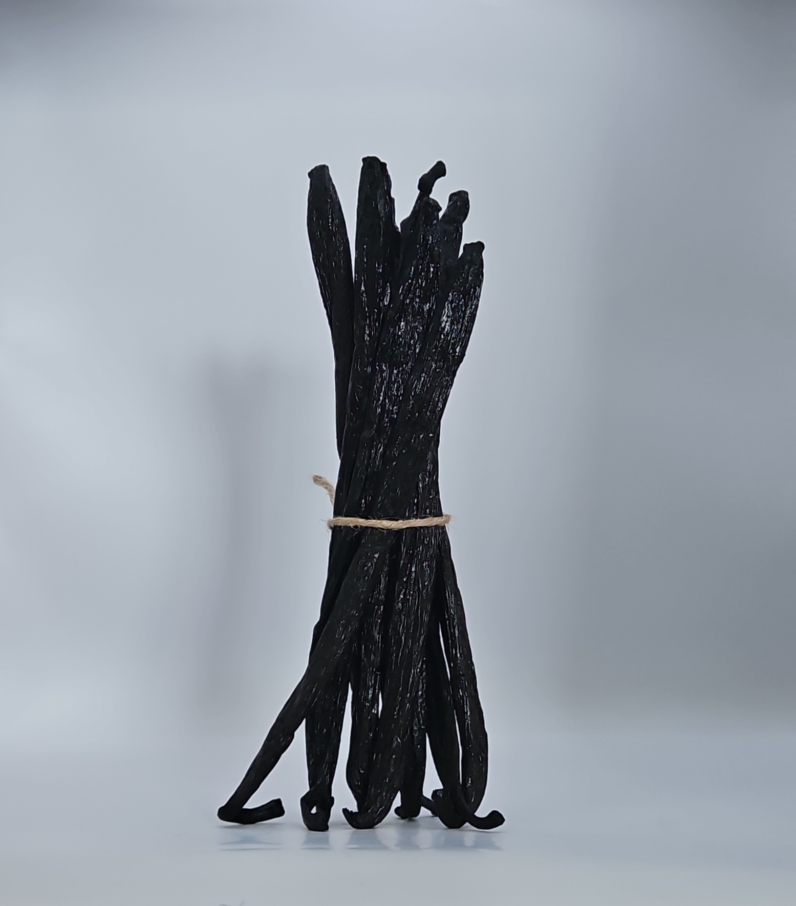 Vanille de Madagascar