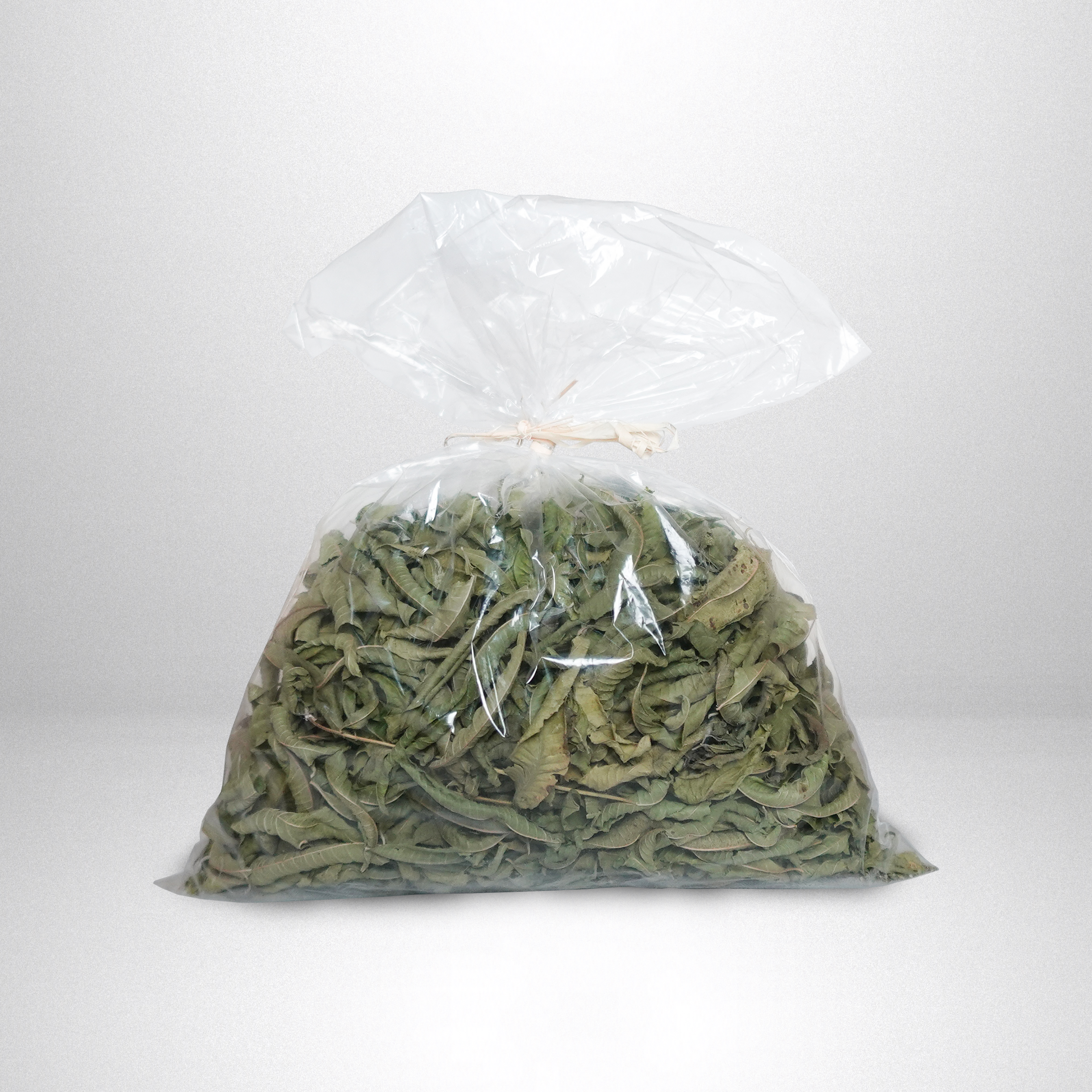 Verveine