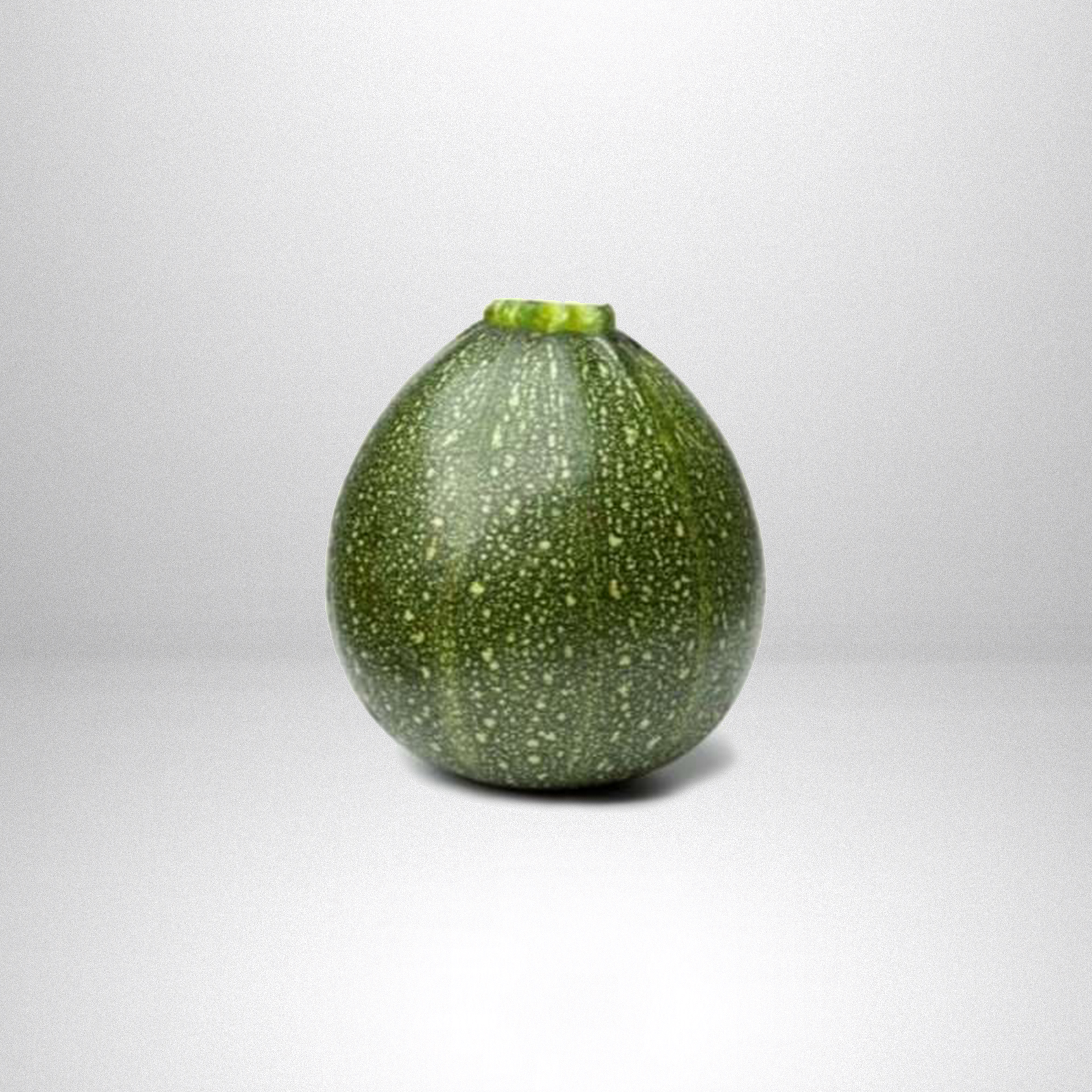 Courgette ronde