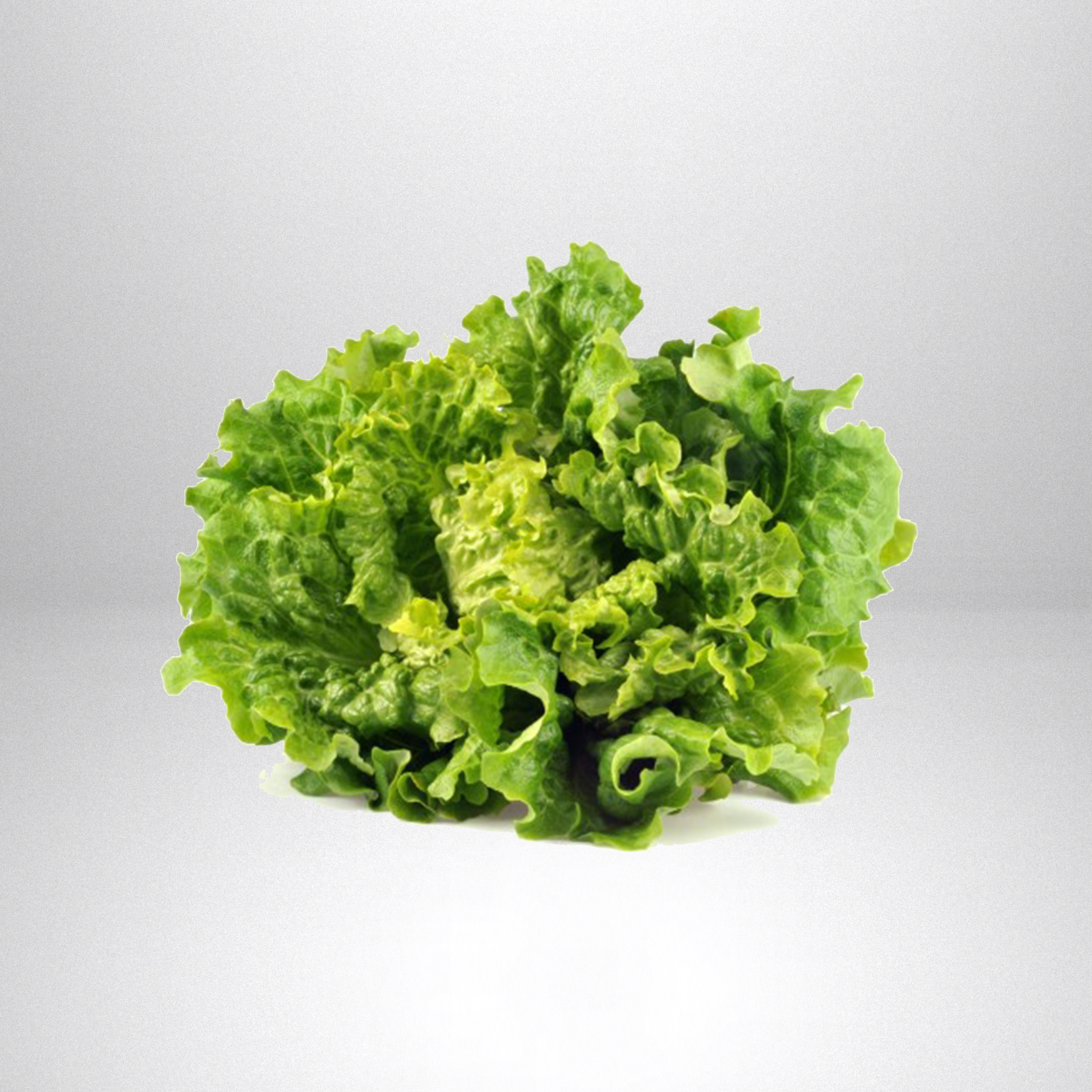 Salade
