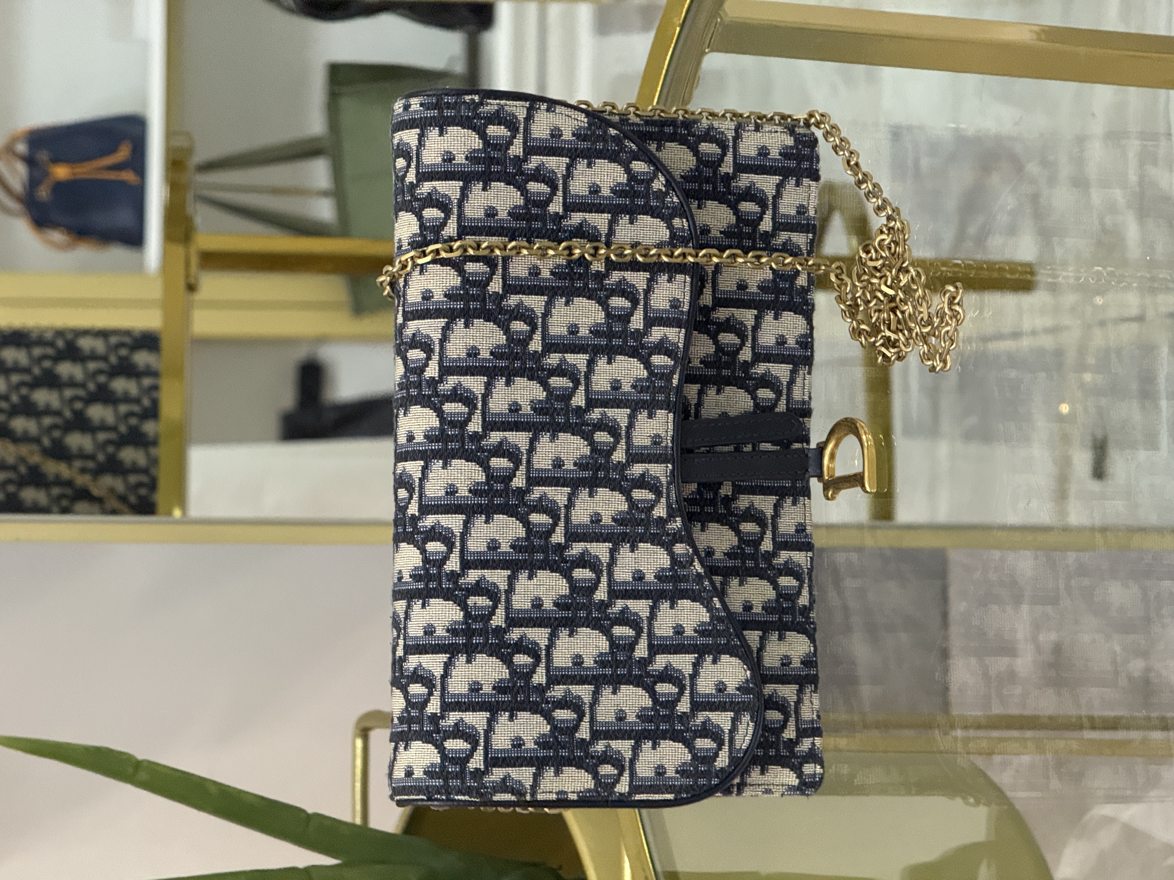 DIOR CROSSBODY 