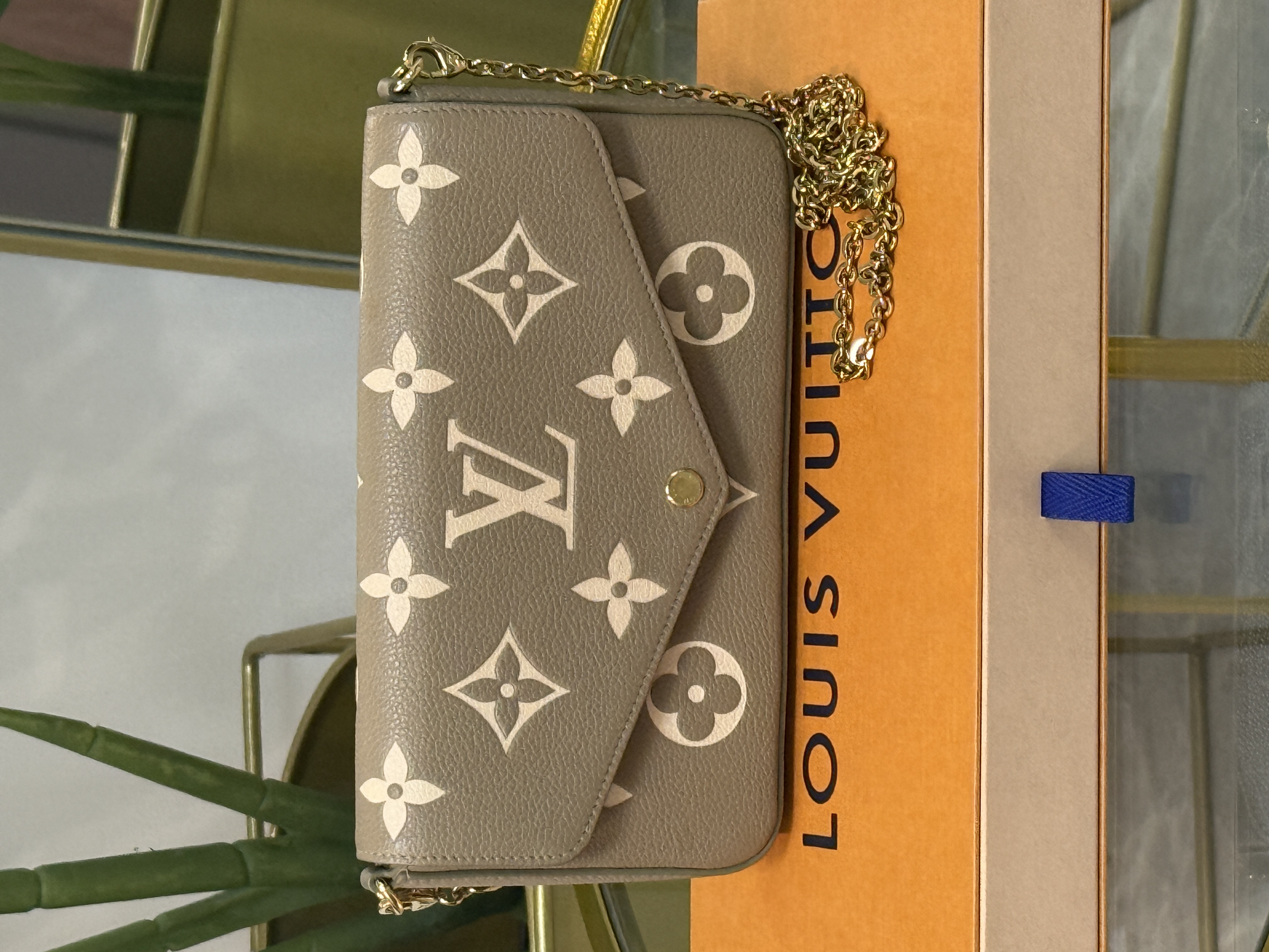 LOUIS VUITTON POCHETTE FELICE 