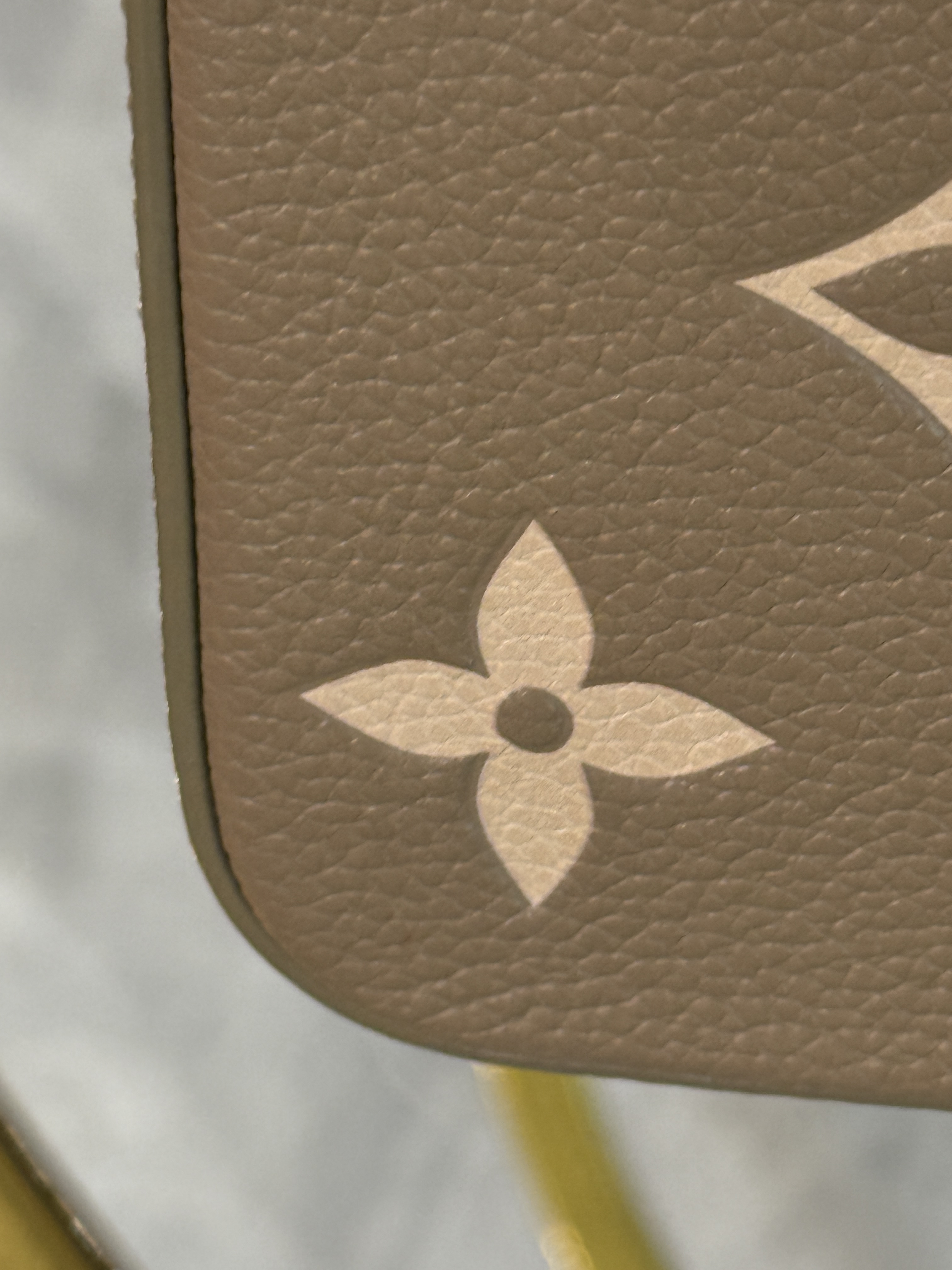LOUIS VUITTON POCHETTE FELICE 
