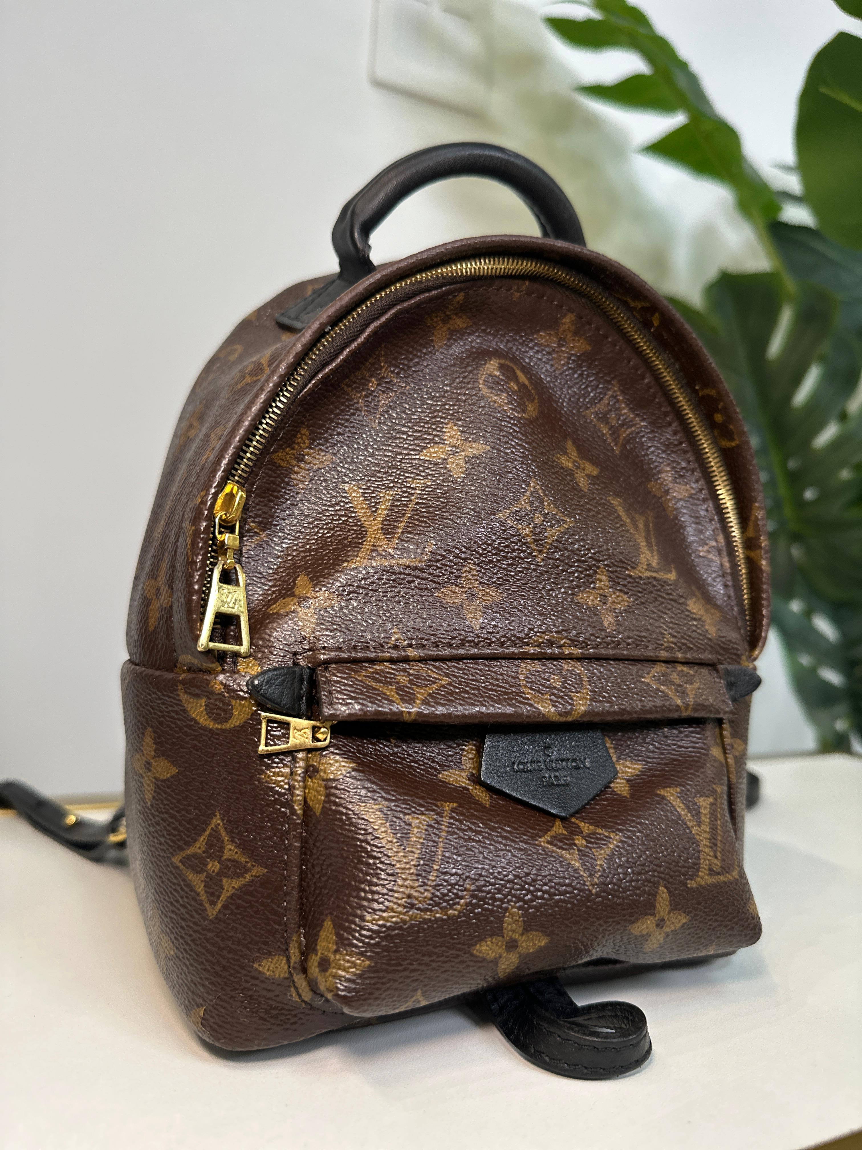 LOUIS VUITTON PALM SPRINGS 