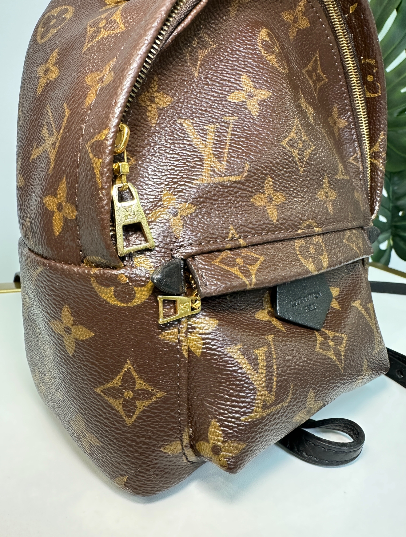LOUIS VUITTON PALM SPRINGS 