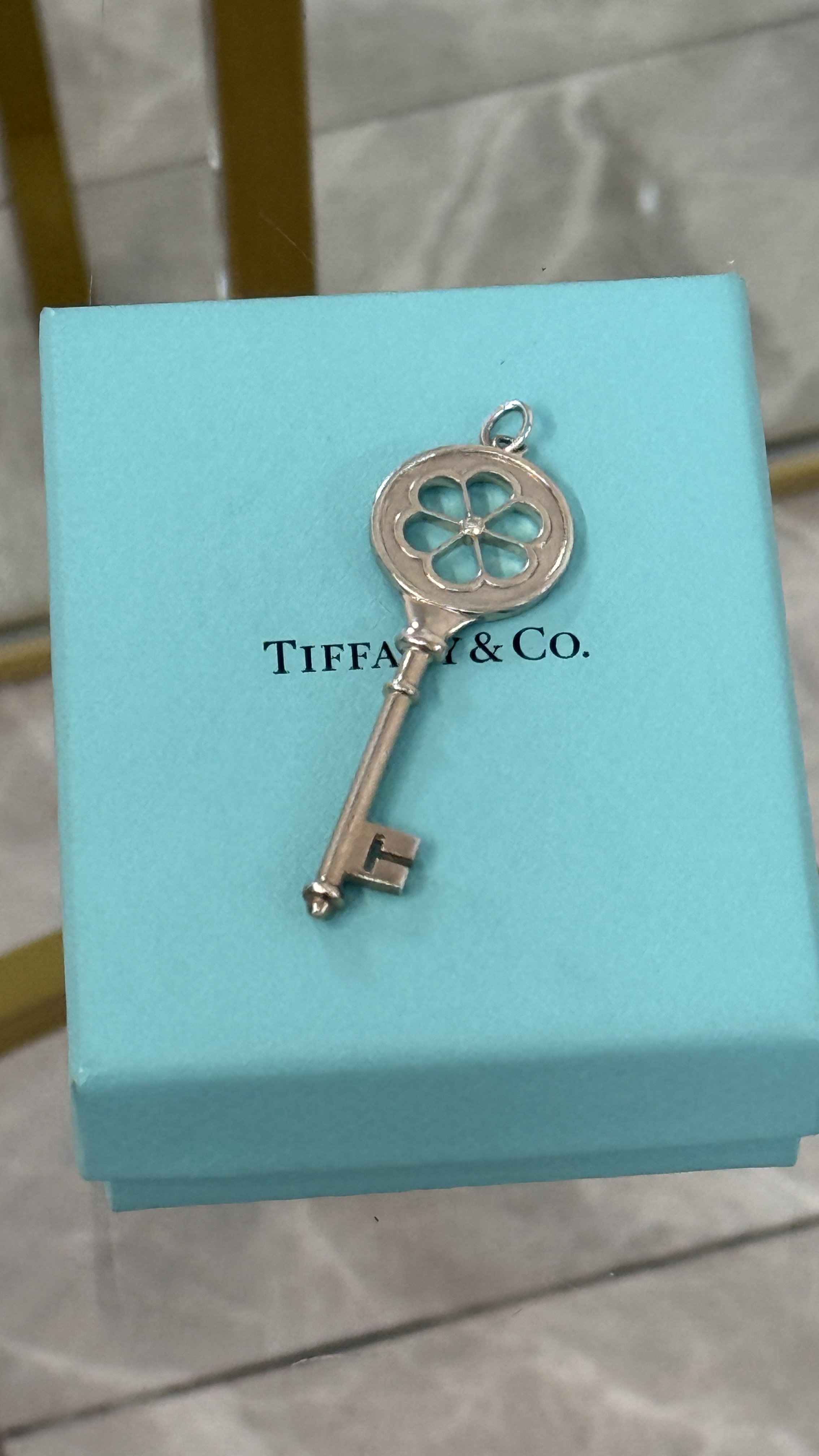 TIFFANY & CO DIJE LA PLATA CON UN DIAMANTE