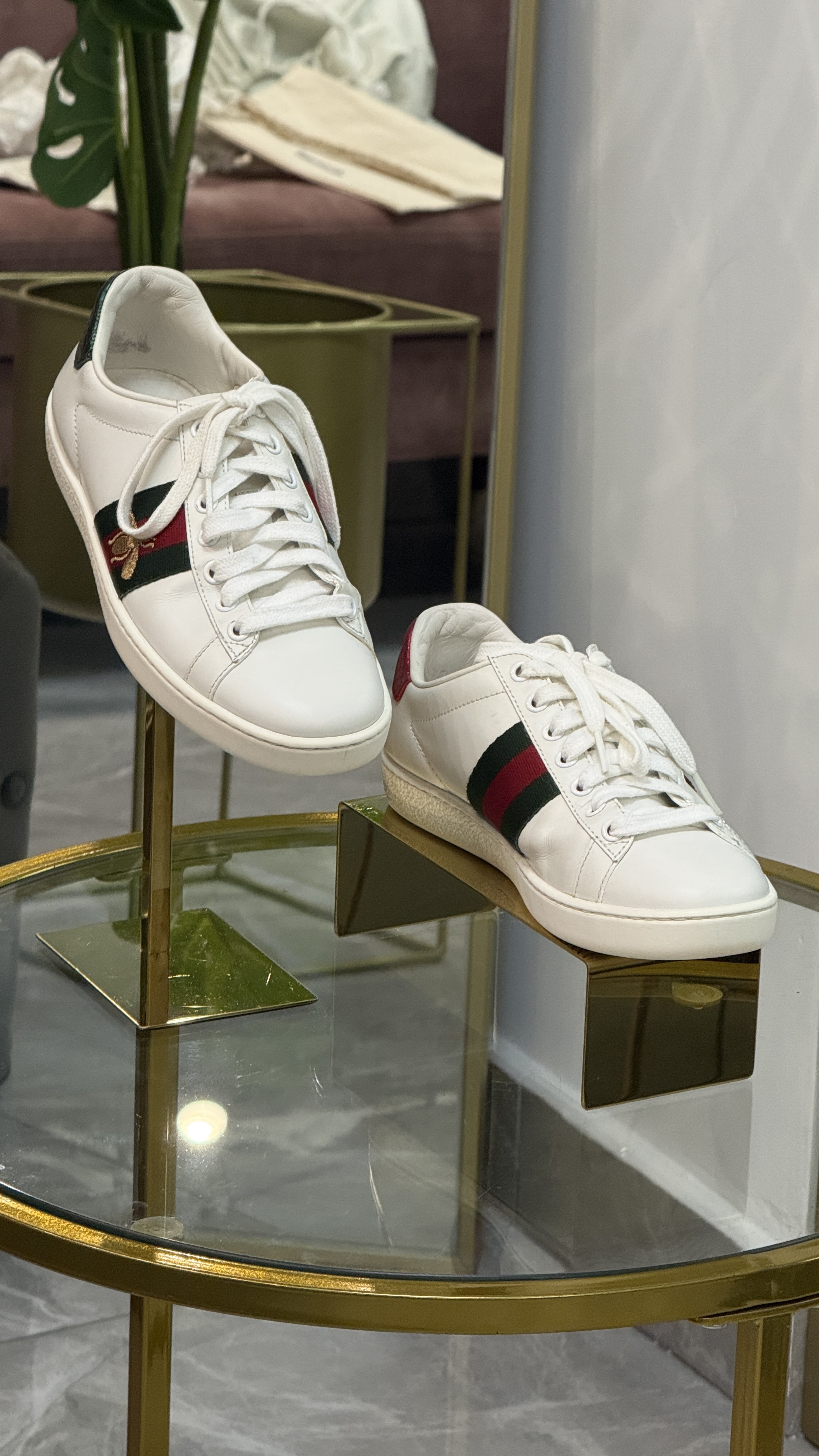 Gucci sneakers talla 35