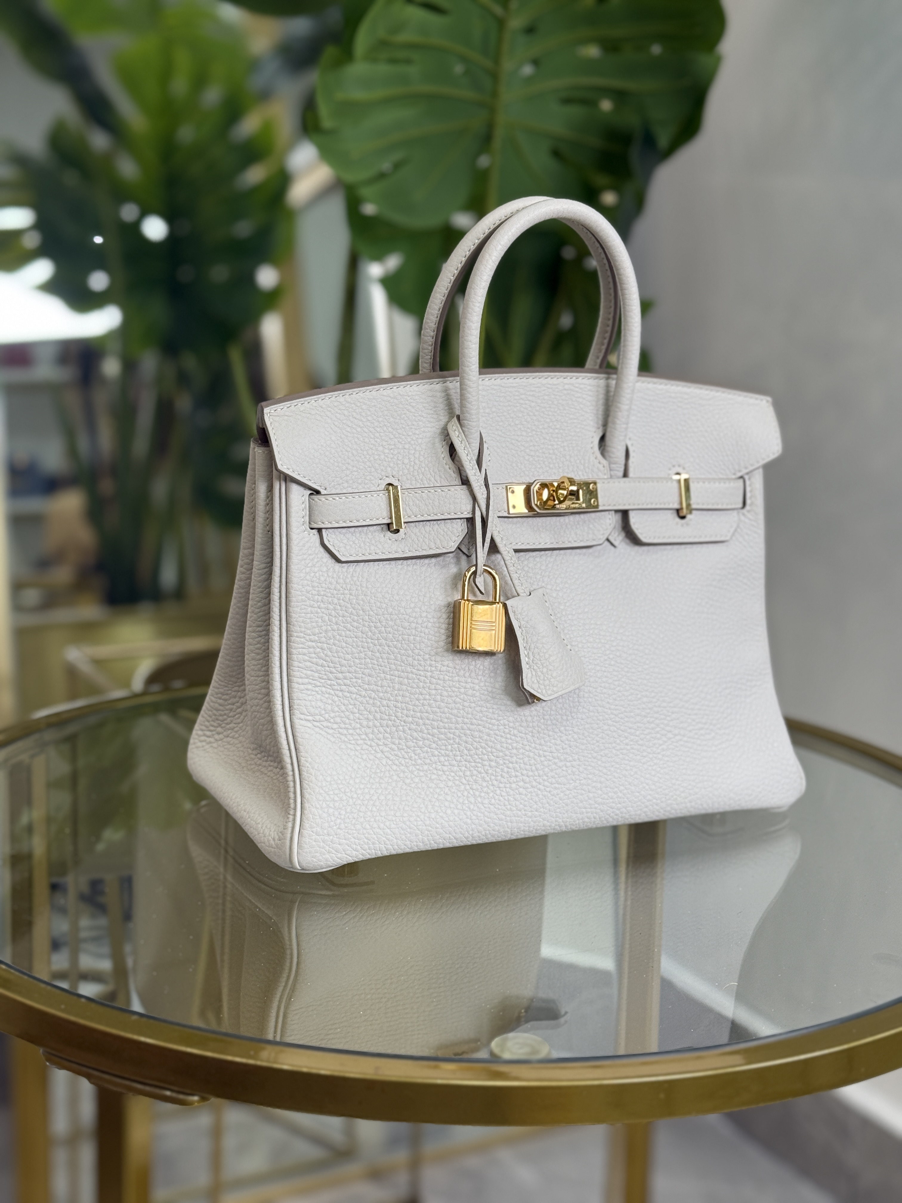 HERMÈS BIRKIN 25