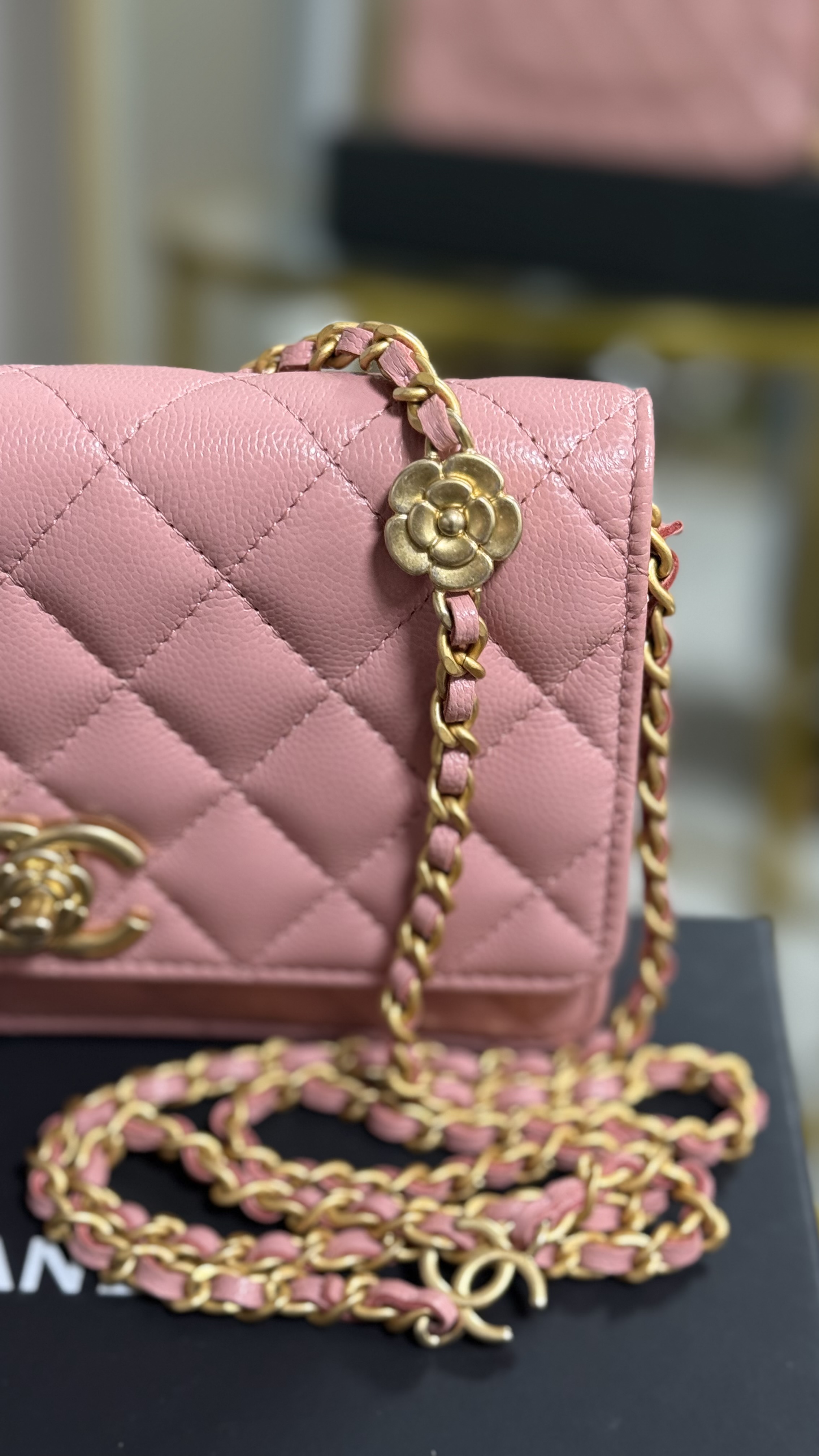 Chanel Wallet On Chain de Colección 