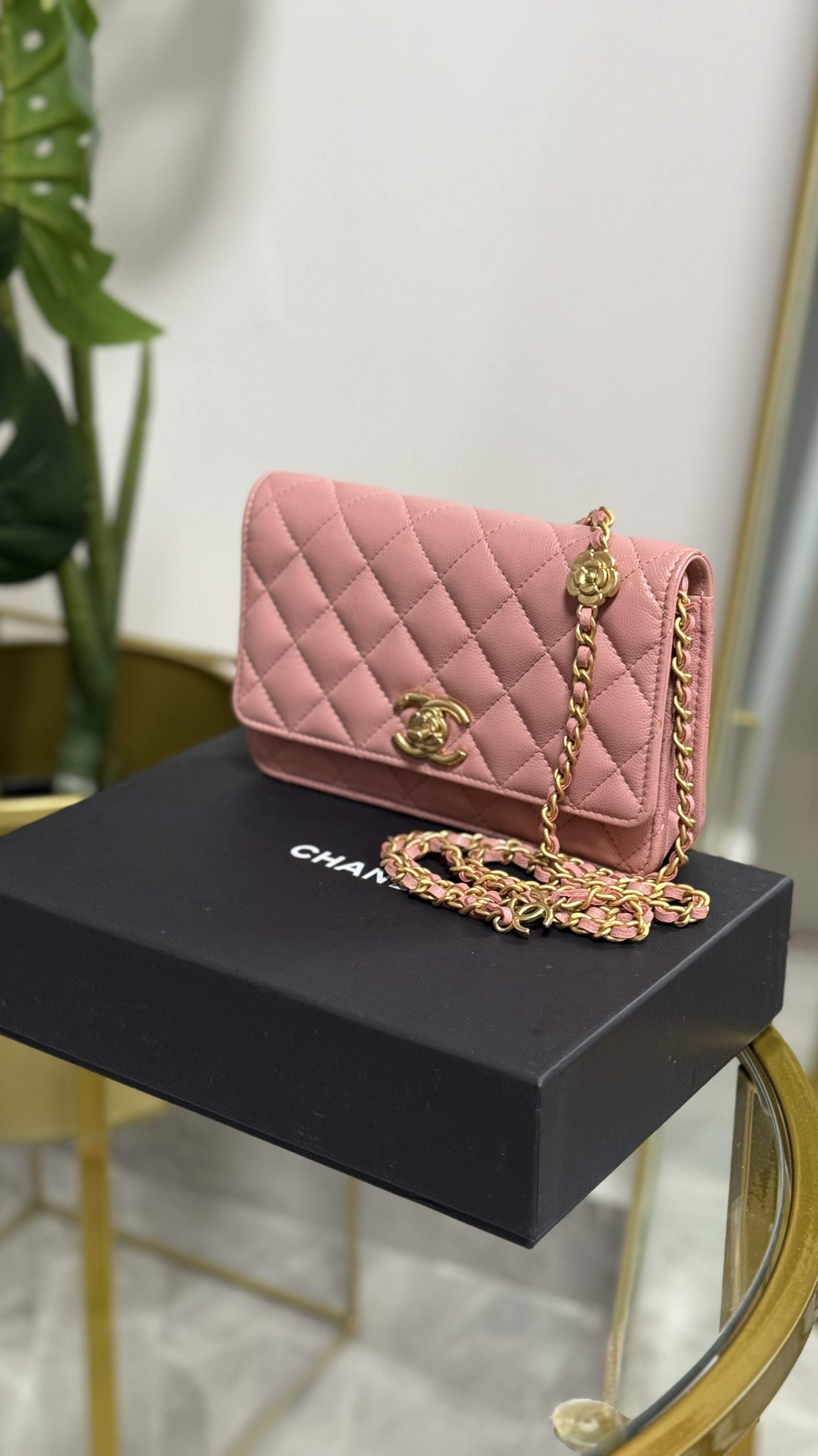 Chanel Wallet On Chain de Colección 