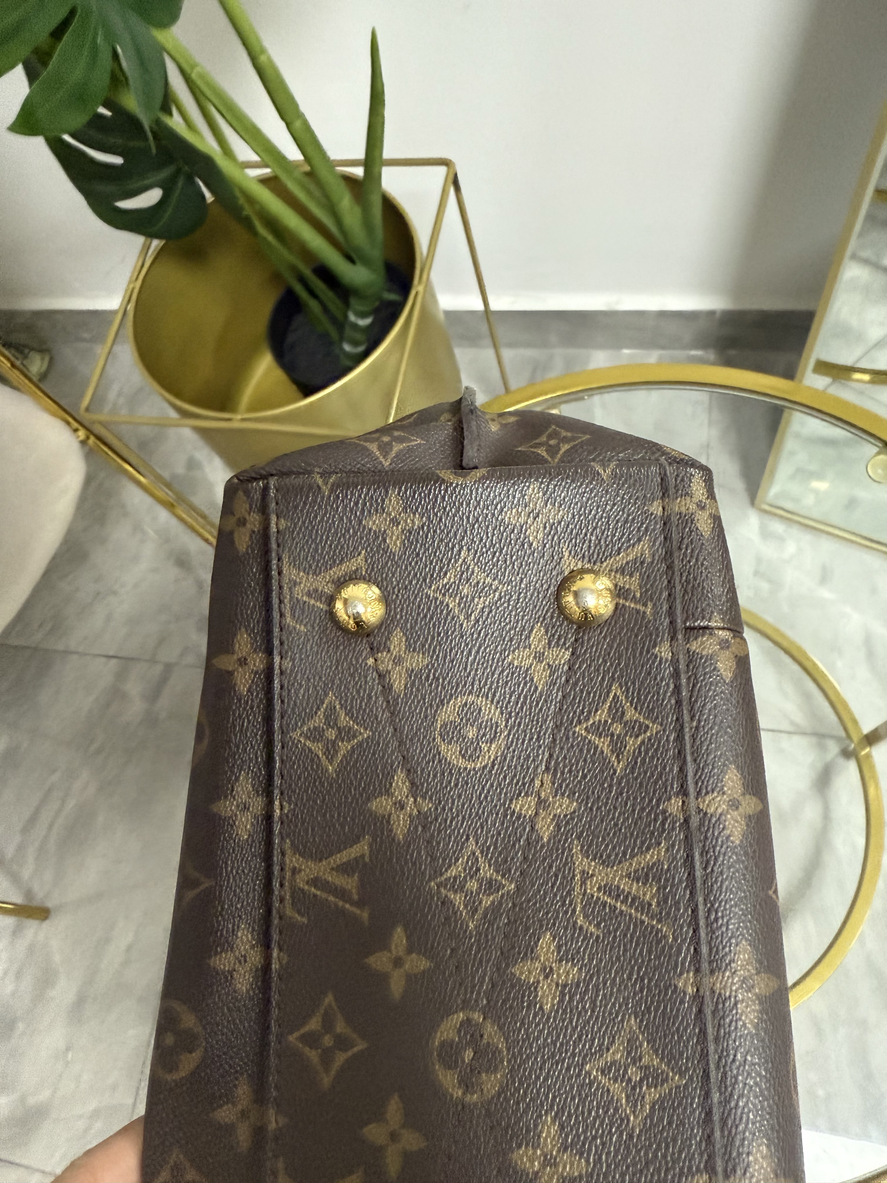 Louis Vuitton Hobo & Crossbody 