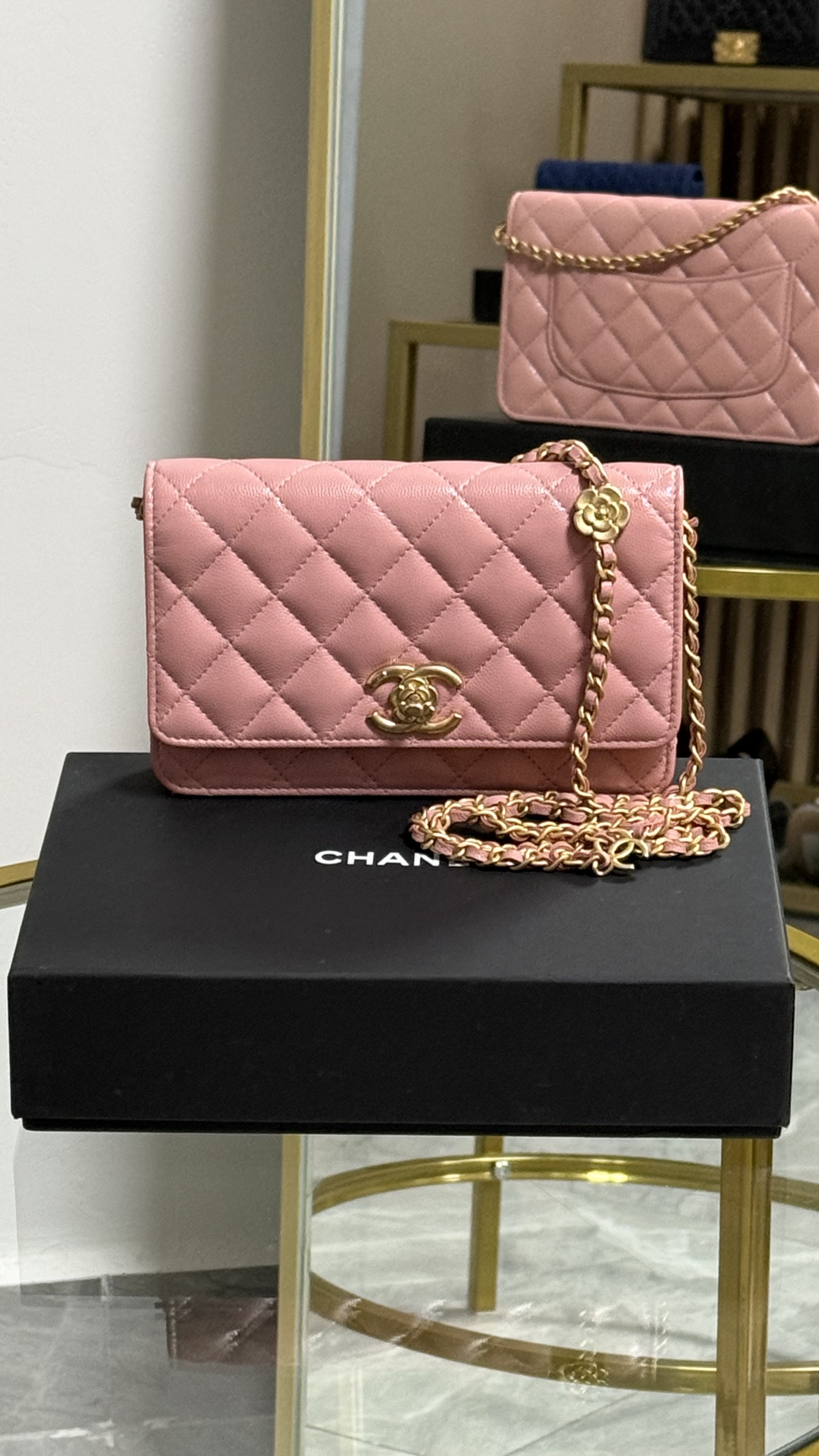 Chanel Wallet On Chain de Colección 