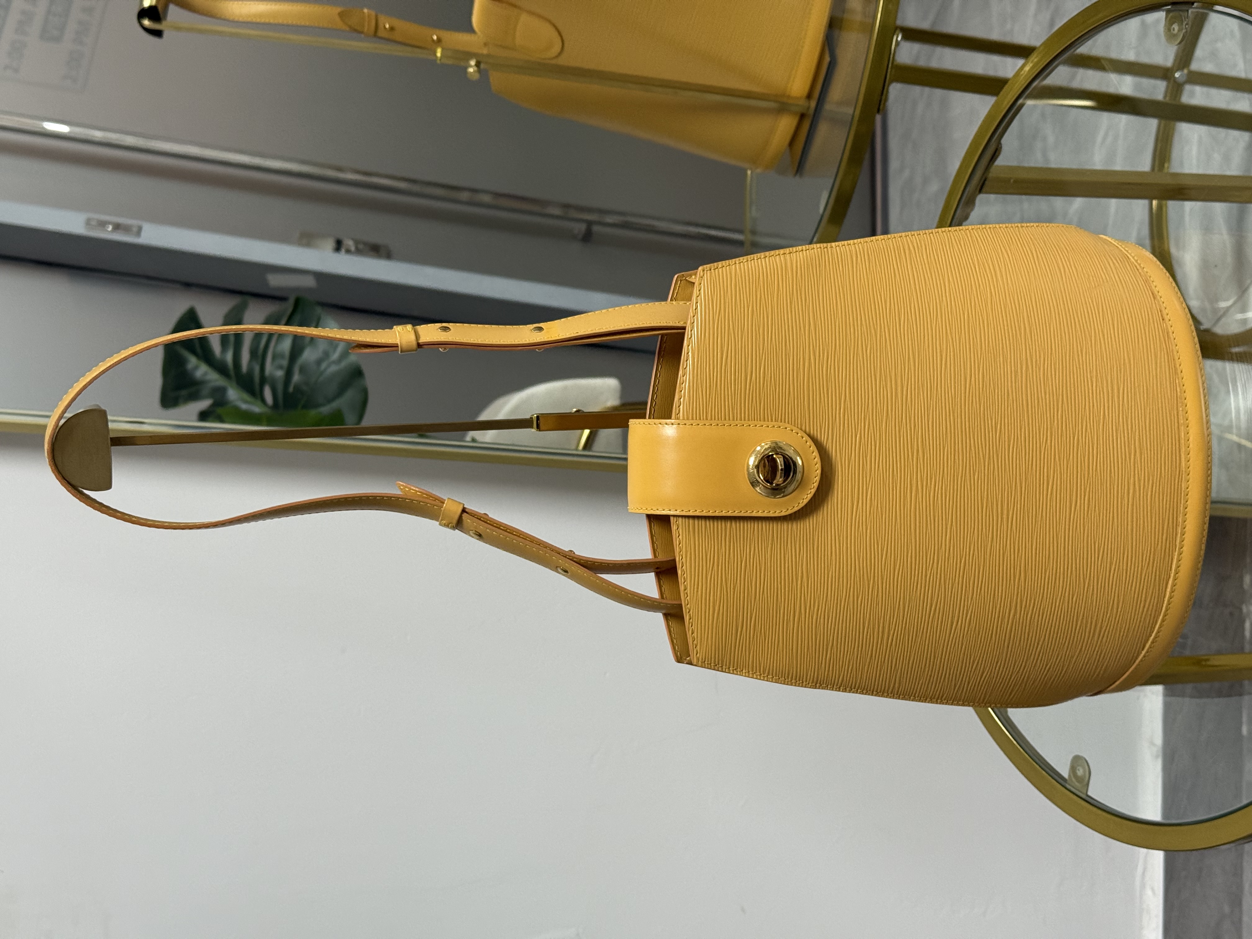 Louis Vuitton Crossbody/Shoulder 