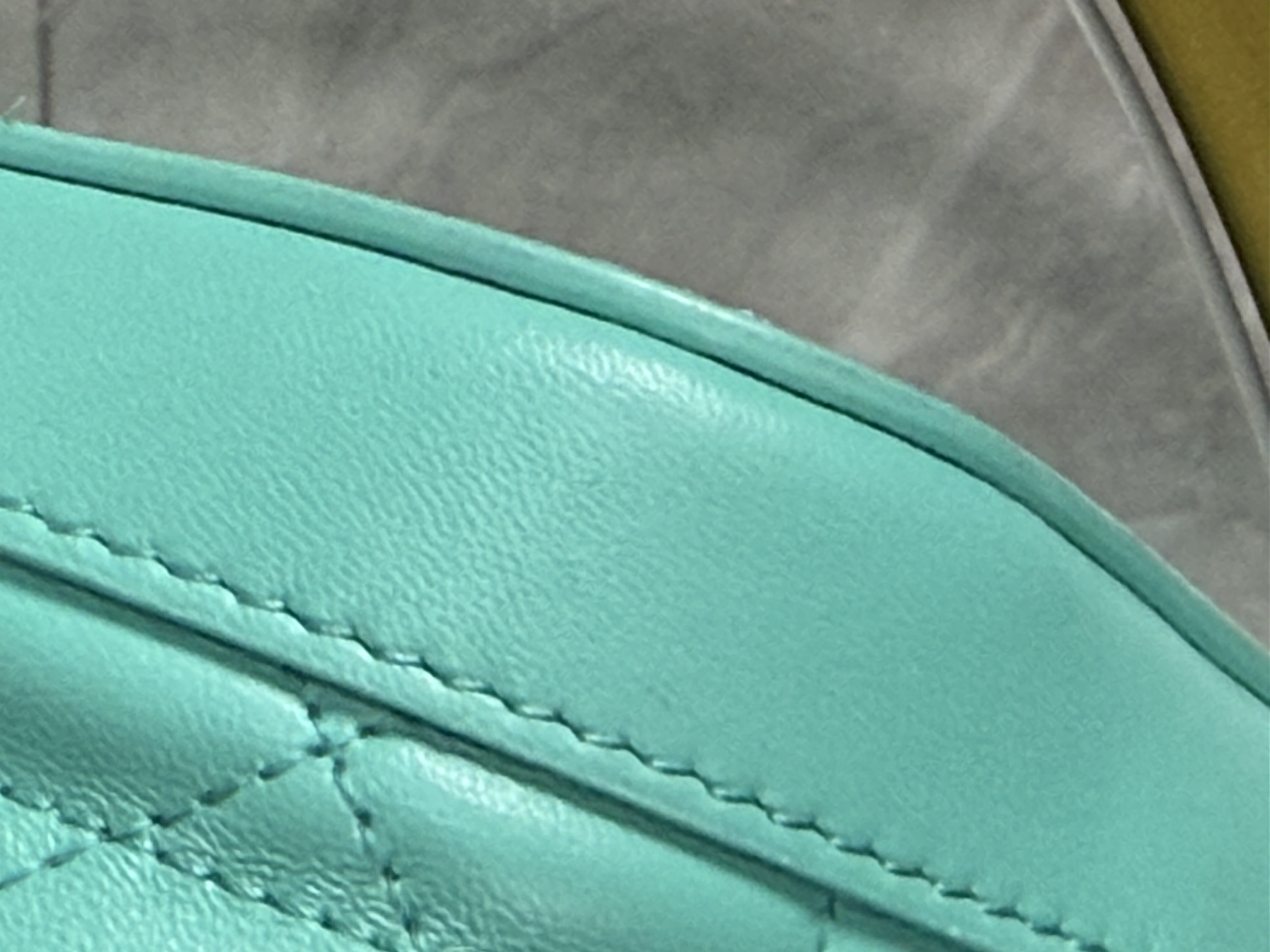 Diorivera Bucket Bag