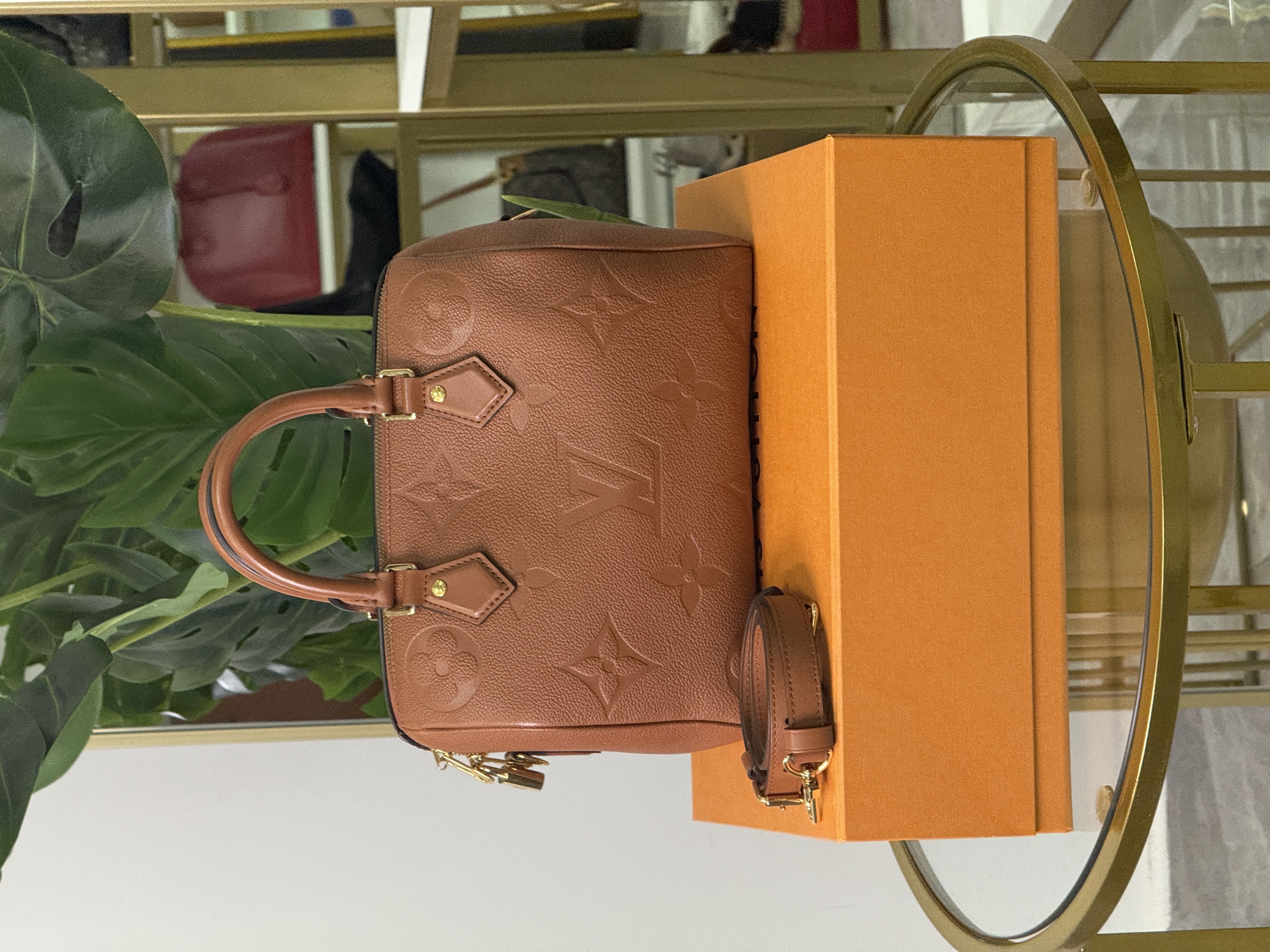 Louis Vuitton Bandouliere Terracotta 