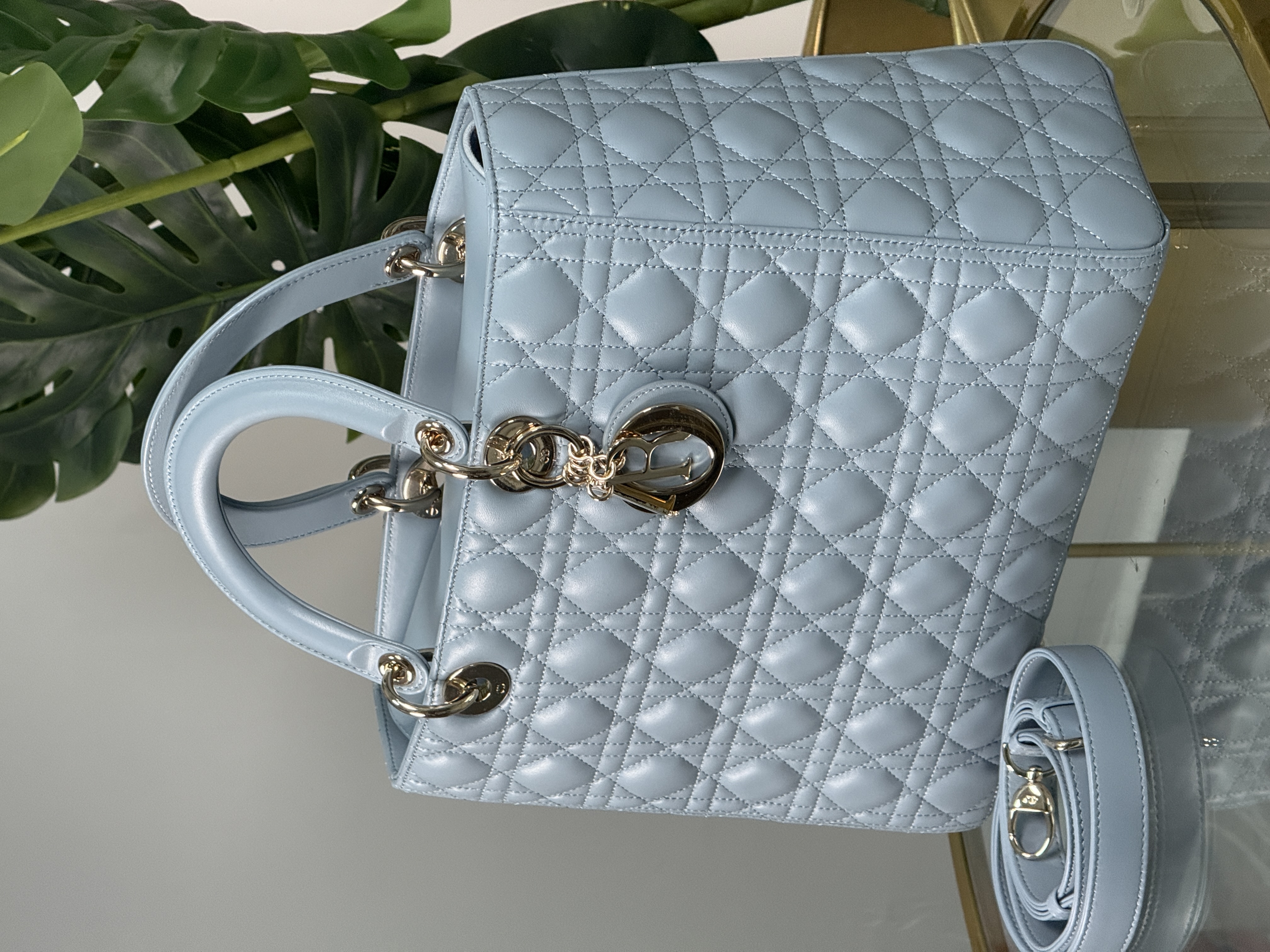 Dior Lady D M