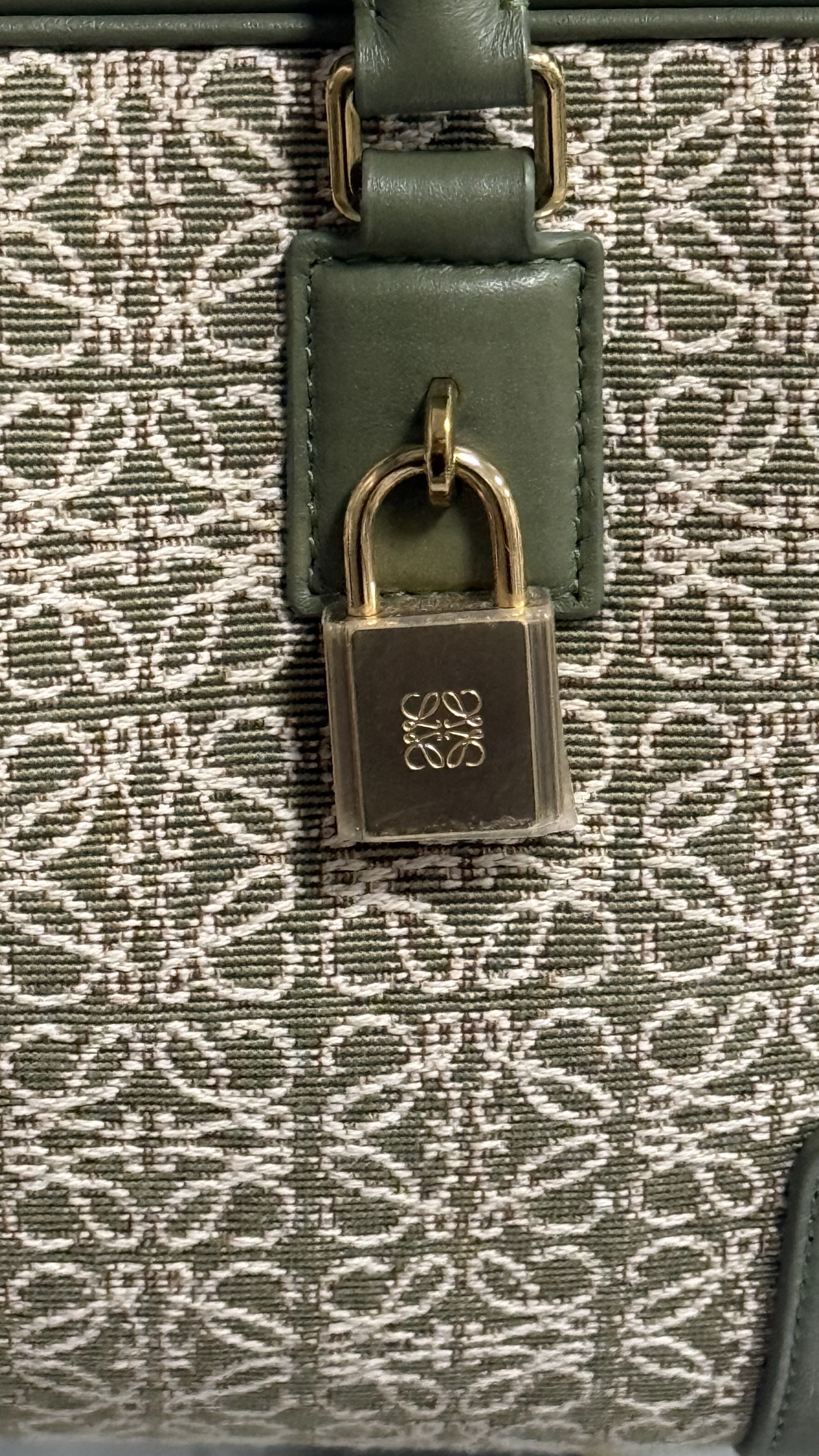 Loewe Amazona Top Handle/Crossbody