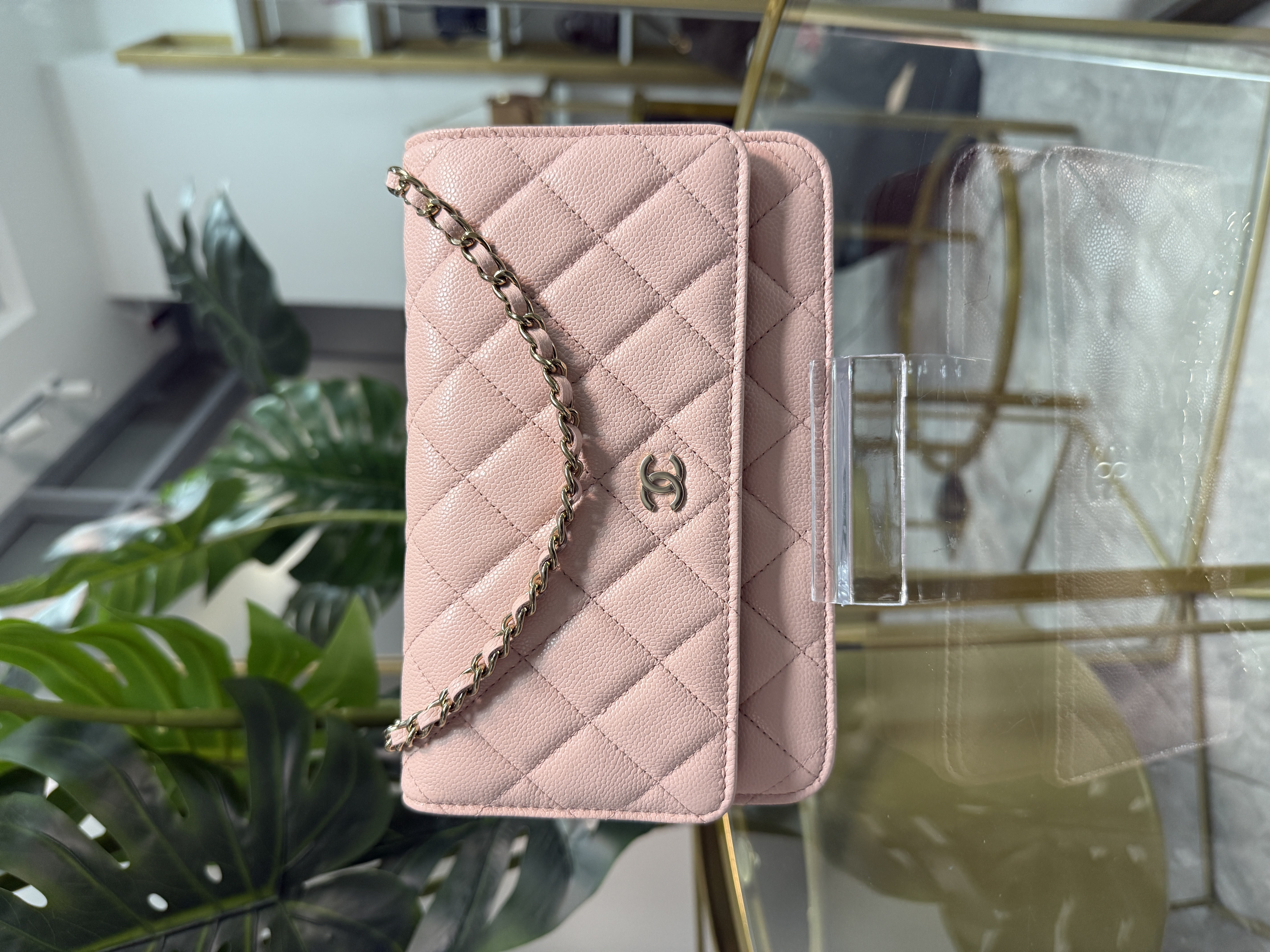 Chanel Wallet On Chain Sin Uso