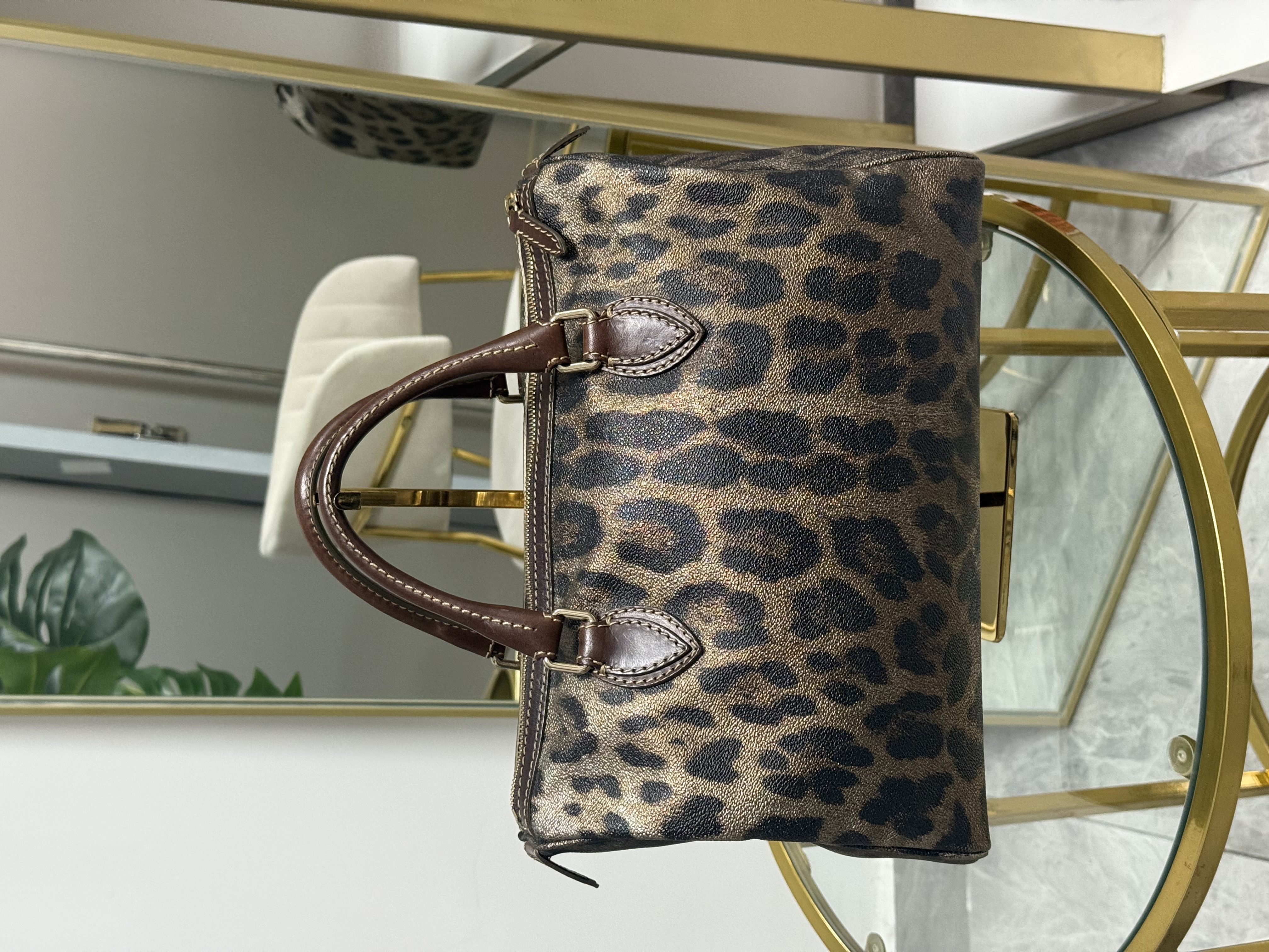 Roberto Cavalli Trunk 