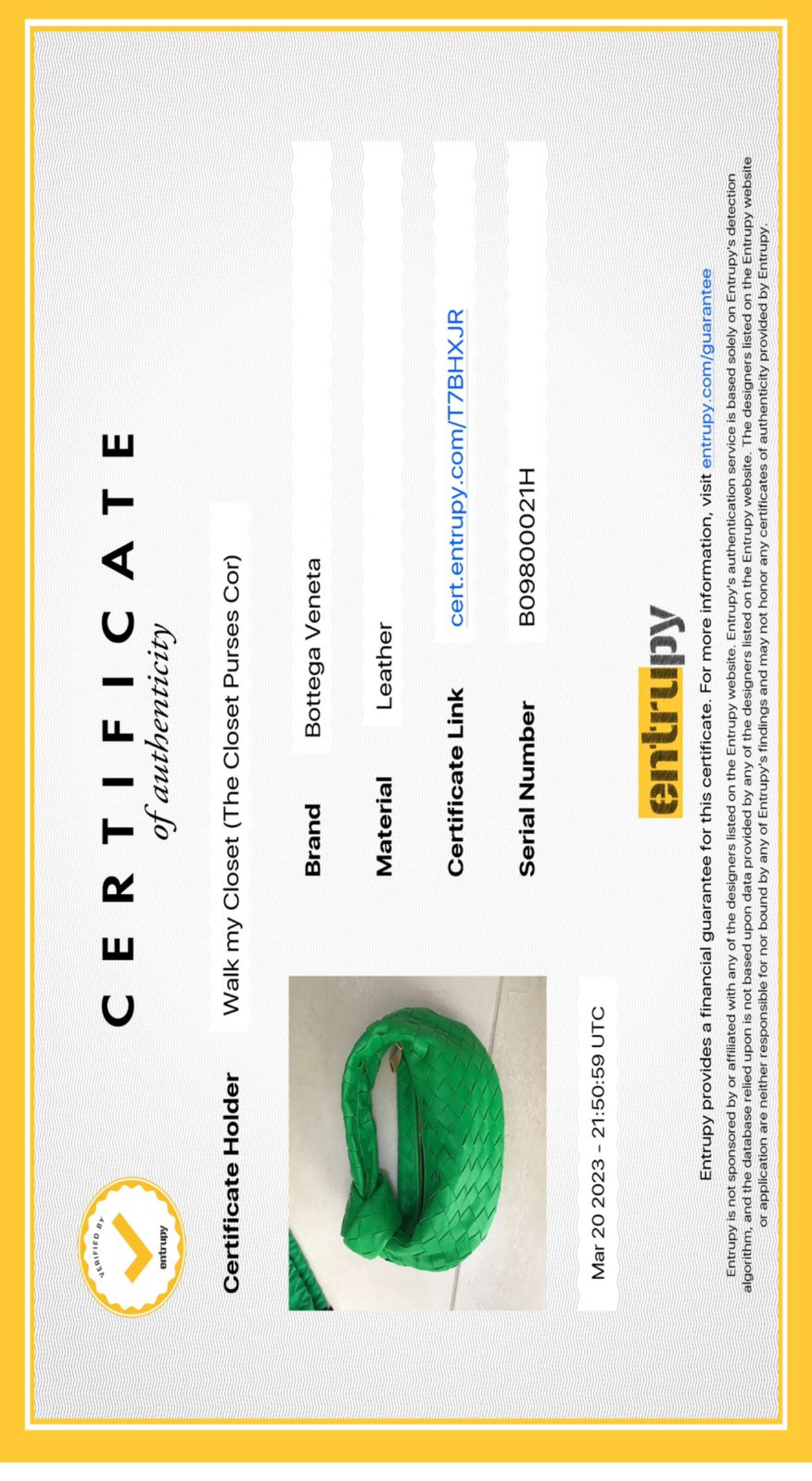 BOTTEGA VENETA Minie Jodie