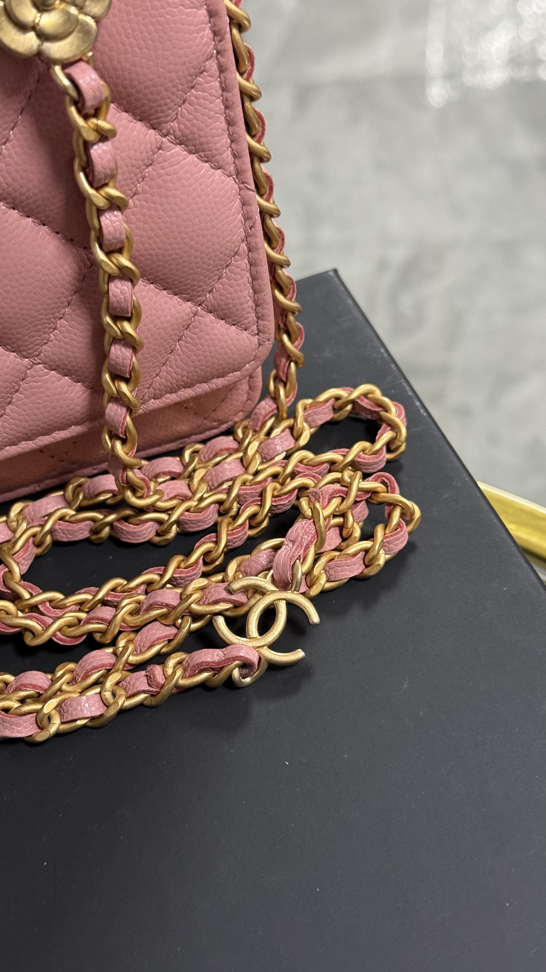Chanel Wallet On Chain de Colección 