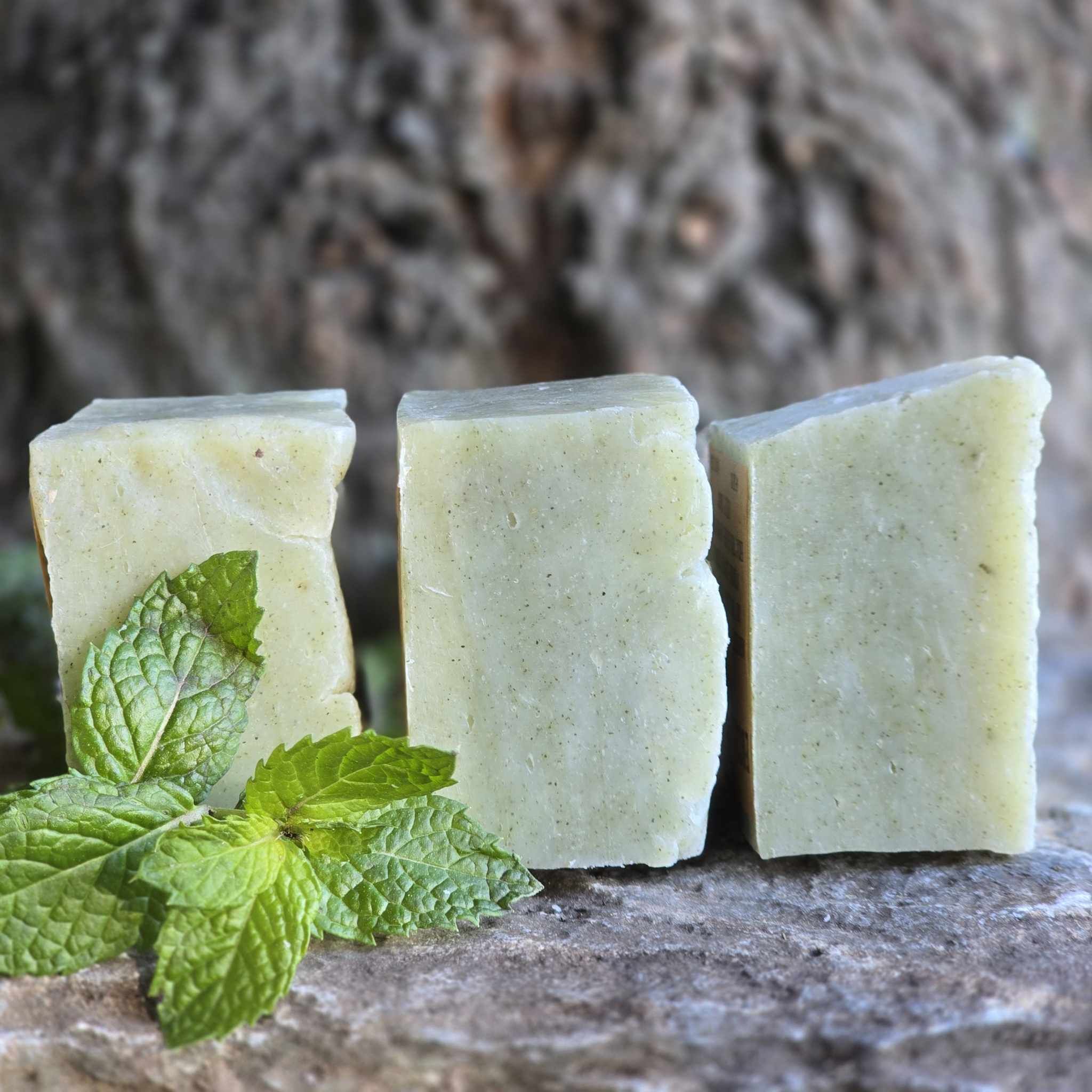 Eucalyptus, Tea Tree, Peppermint