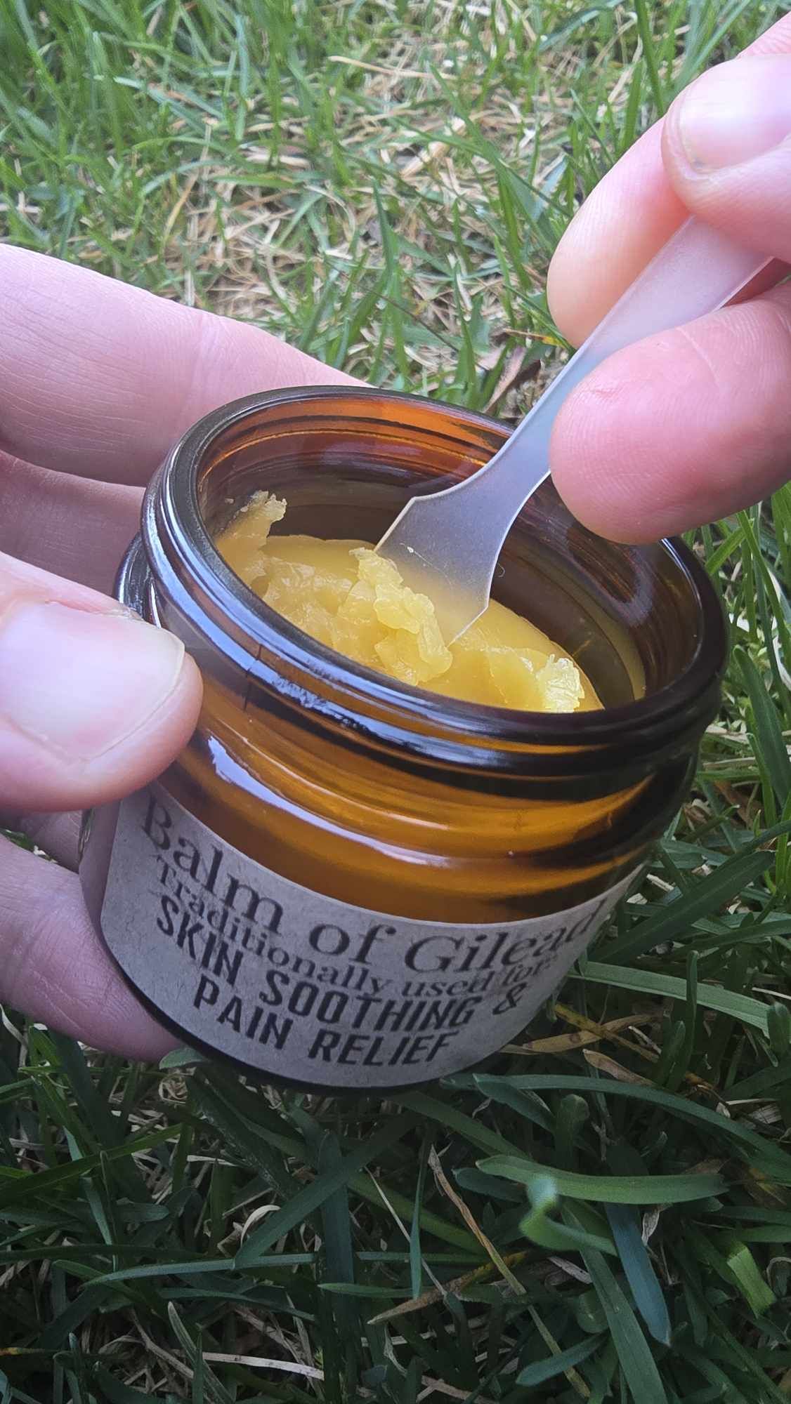 Balm of Gilead