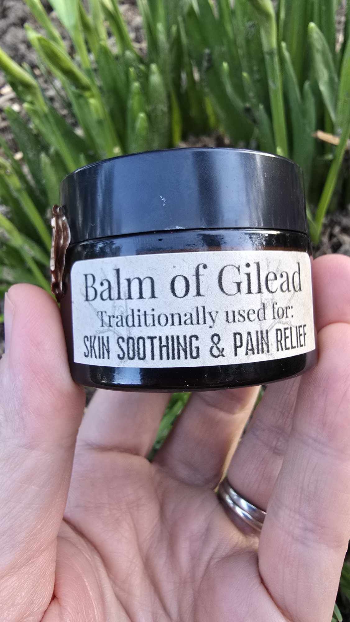 Balm of Gilead