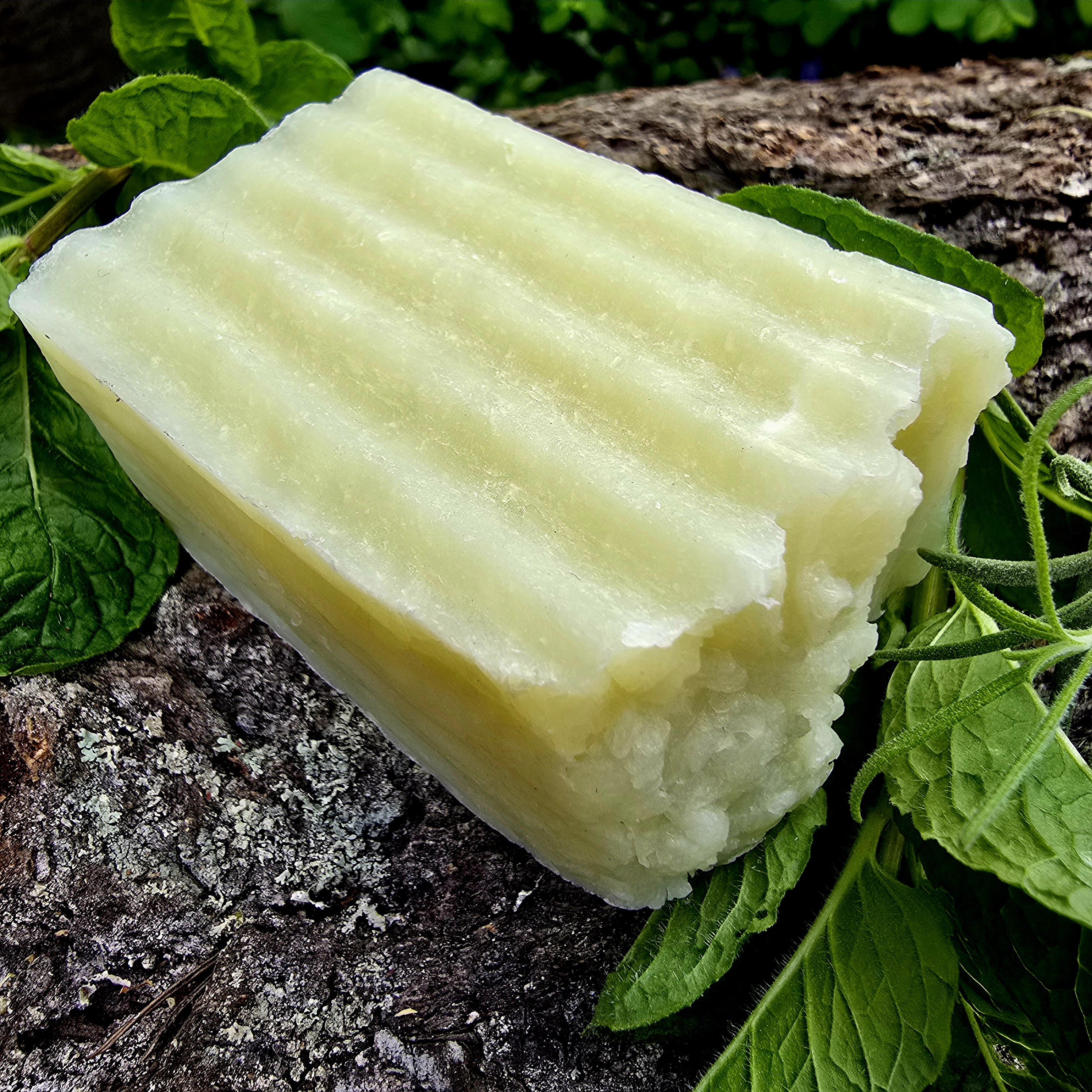 Rosemary Mint Shampoo Bar Soap