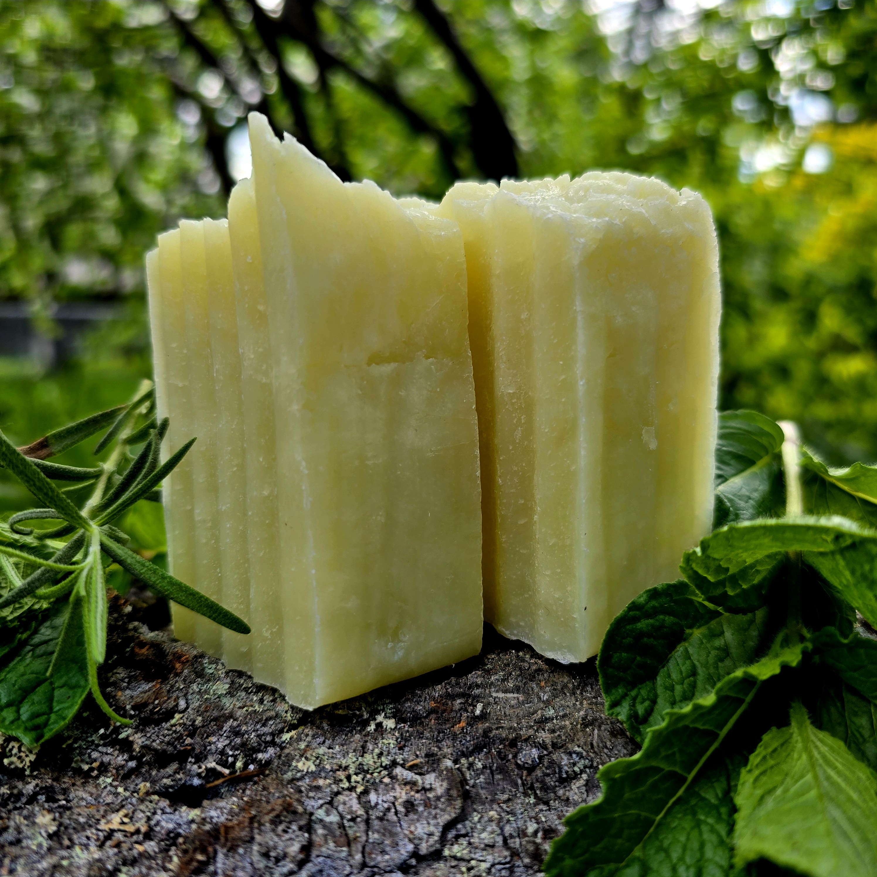 Rosemary Mint Shampoo Bar Soap