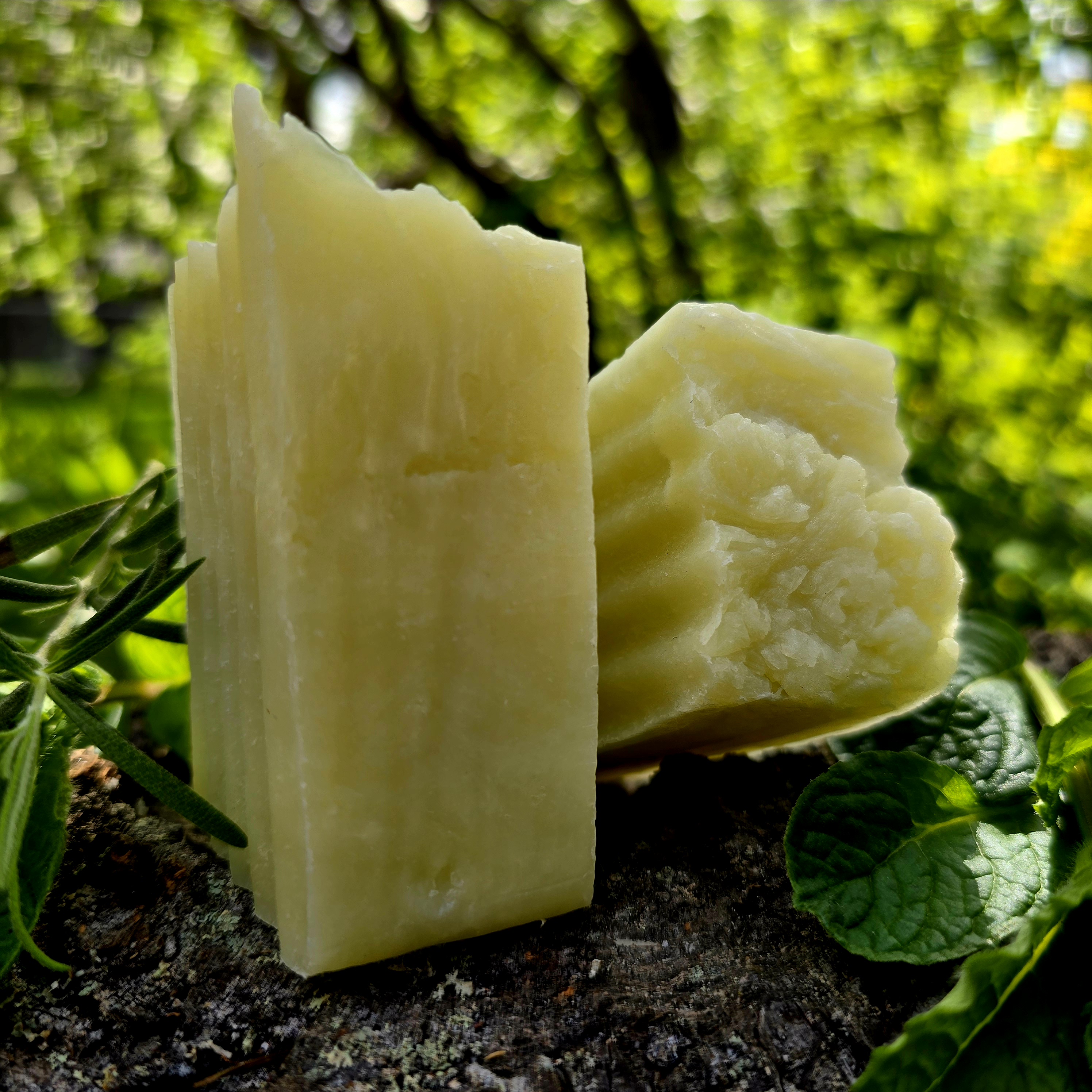 Rosemary Mint Shampoo Bar Soap