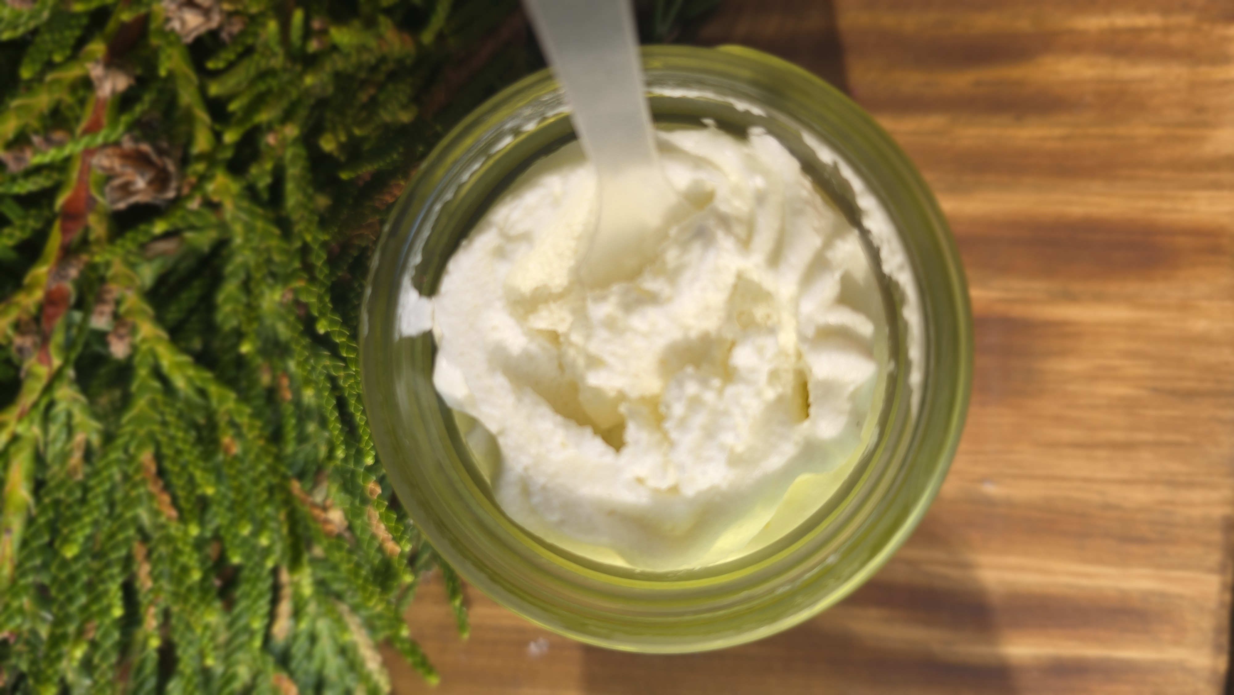 Forest Tallow Whip