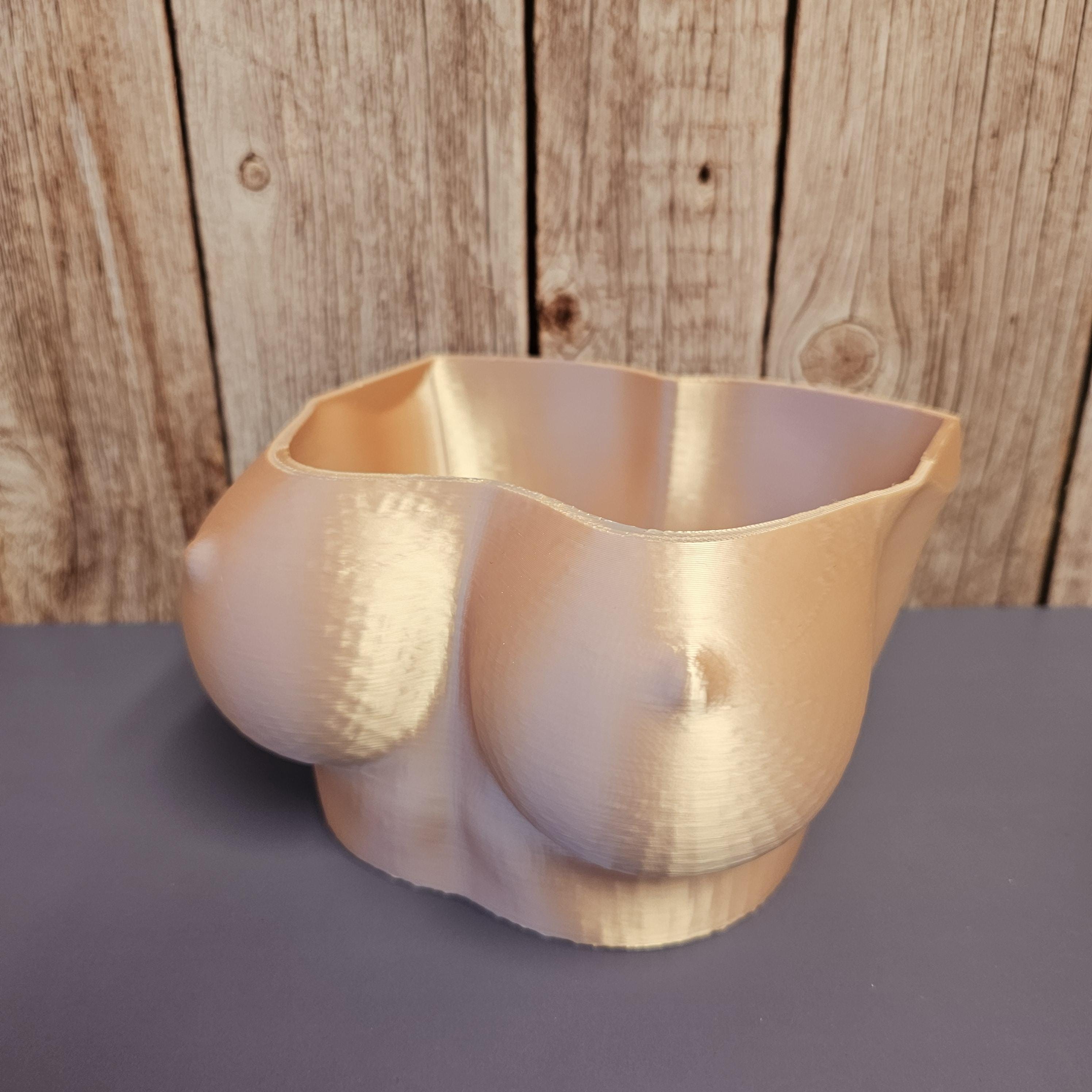 3D Printed Torso Planter: Silk Rose Gold Sculptural Bust Pot