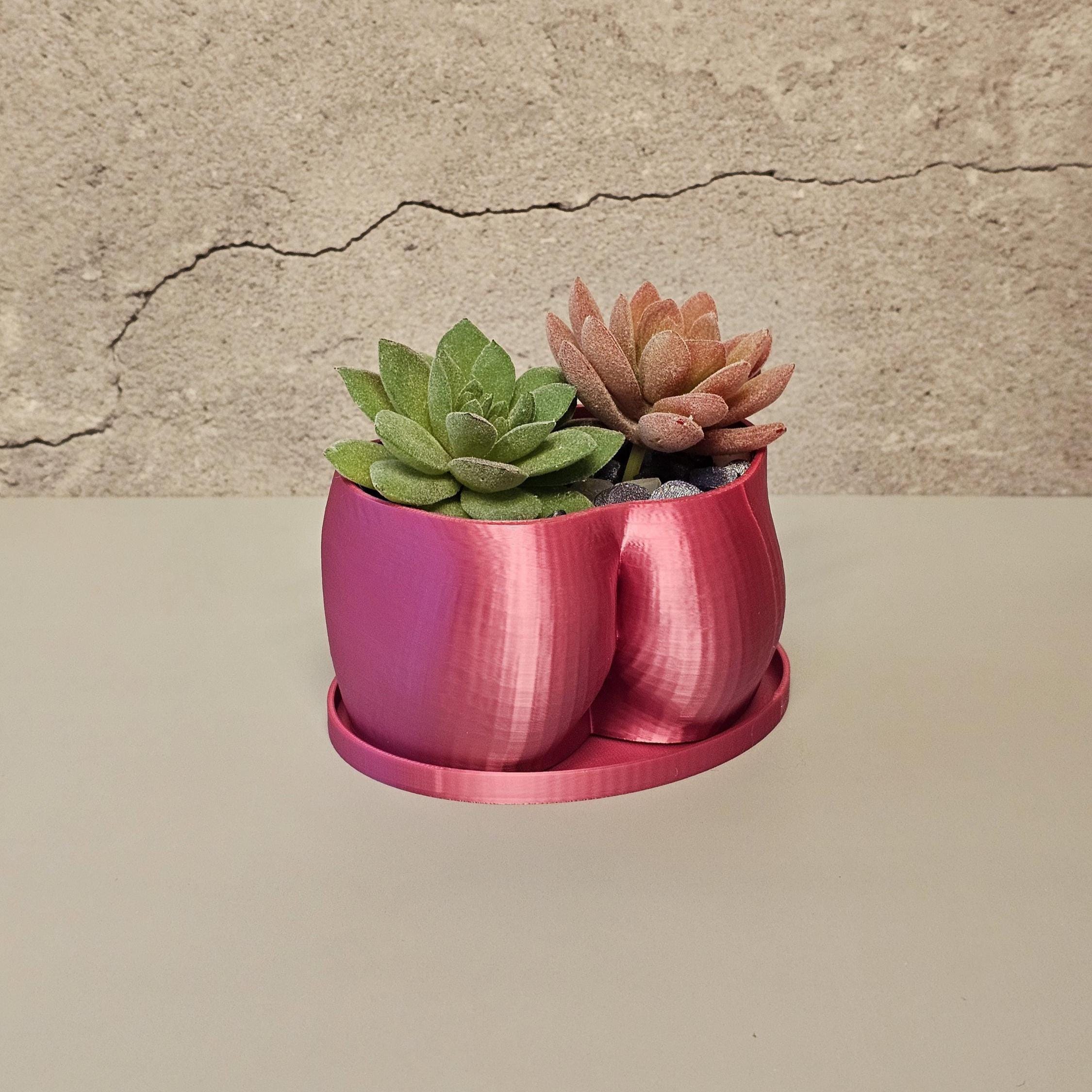3D Printed Butt Planter: Electric Rose Body Art Vase