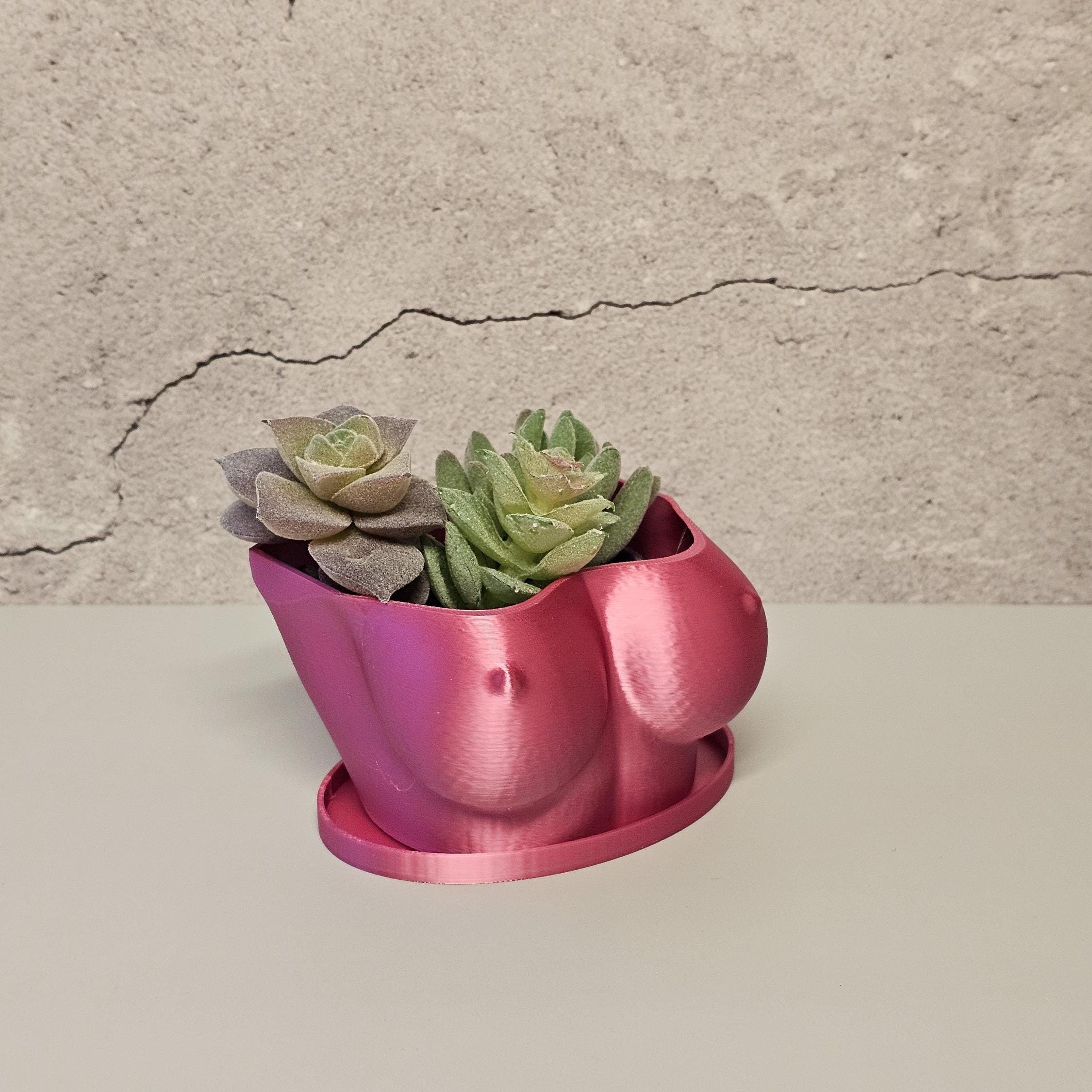 3D Printed Electric Rose Torso Planter: Modern Indoor Sculptural Bust Pot for Live Plants