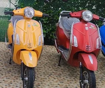 Viralka Vespa, Electric Scooters- 60V30Ah Li-ion Battery