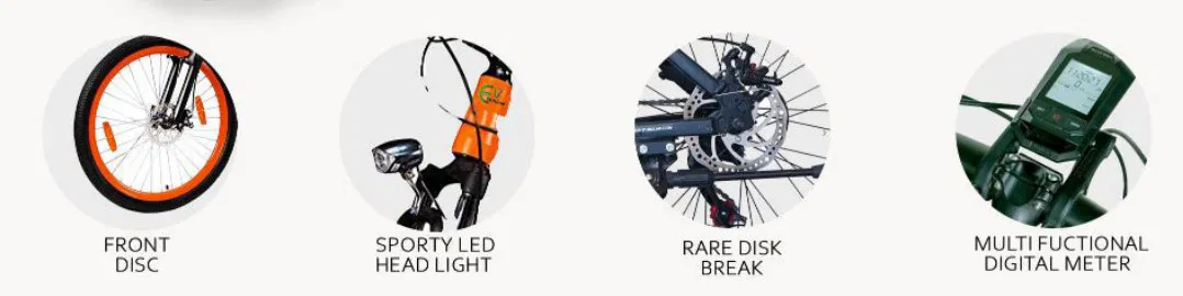 Stylish Eco-Friendly Electric Cycle