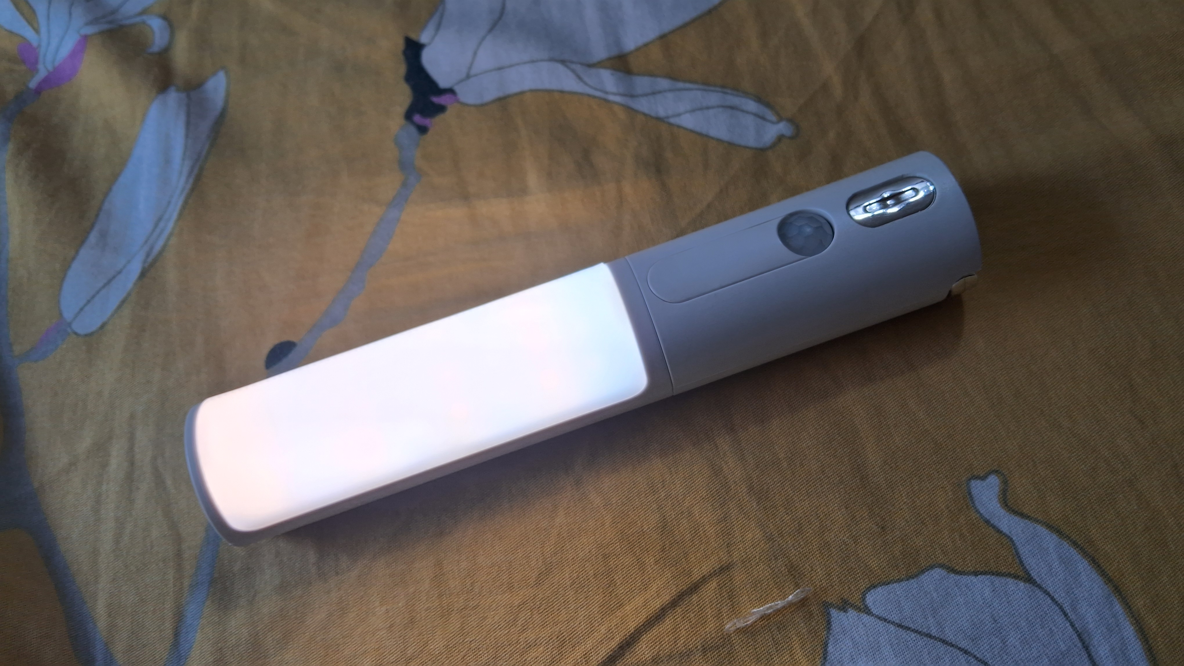 Smart Motion Sensor Wall Light