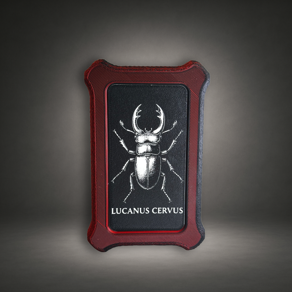 PM No.28 Hirschkäfer