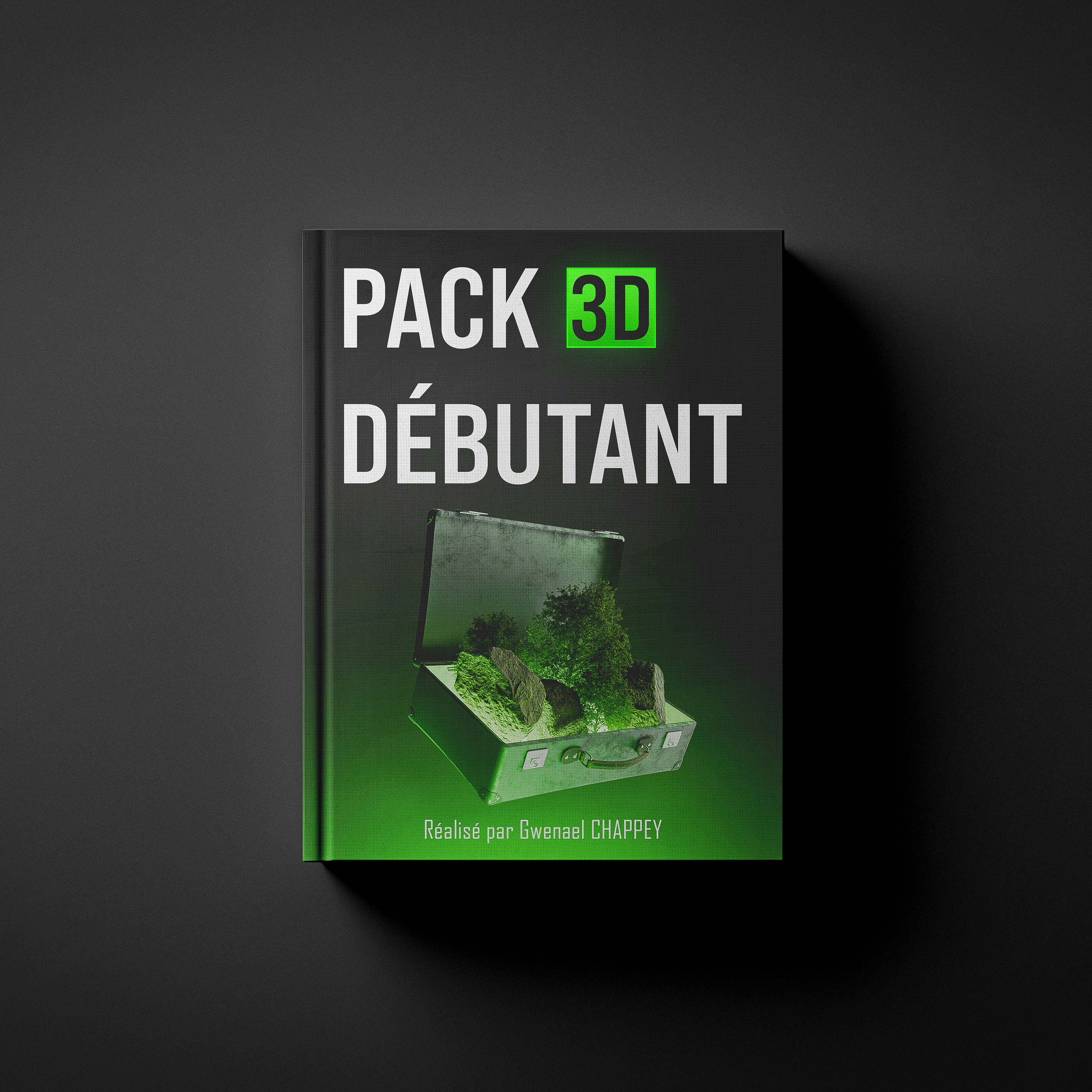 Pack 3D Débutant