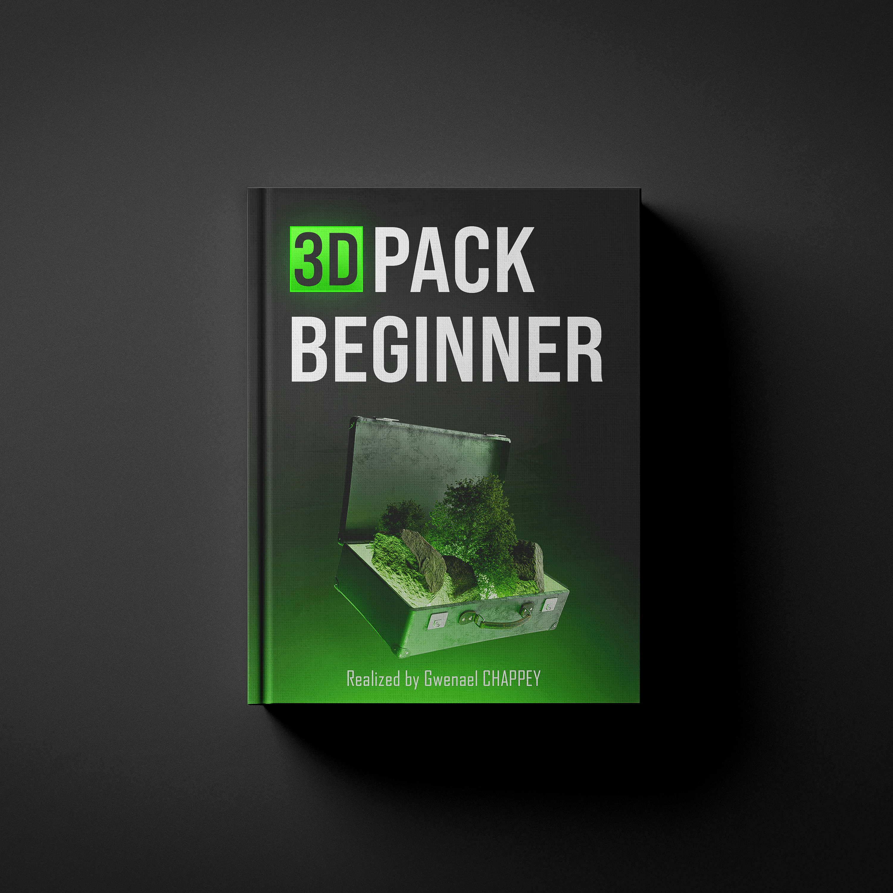 3D Pack Beginner