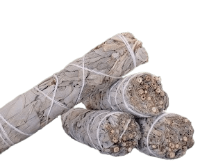 Manojos de salvia blanca