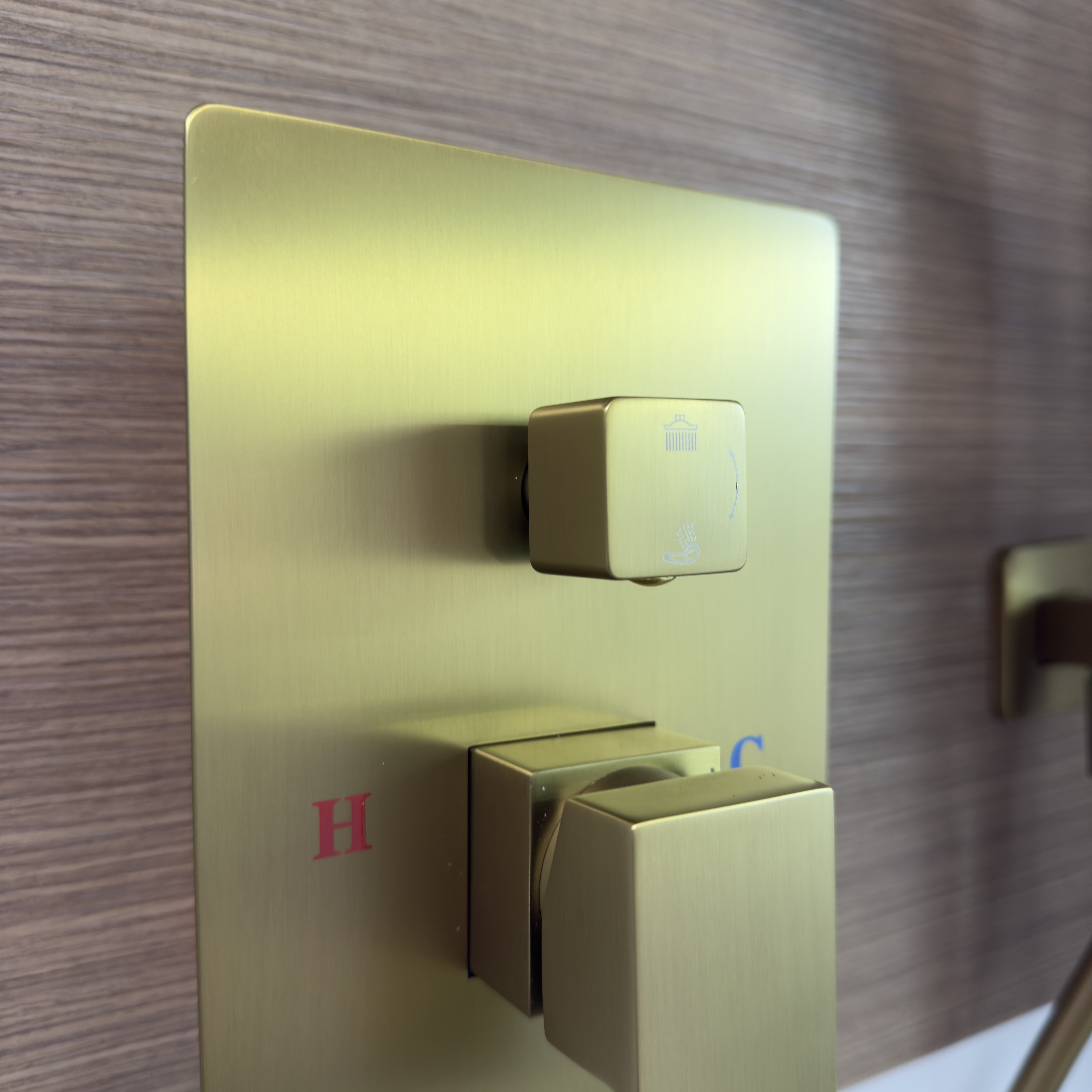 Mezcladora Para Ducha con Regadera Oro