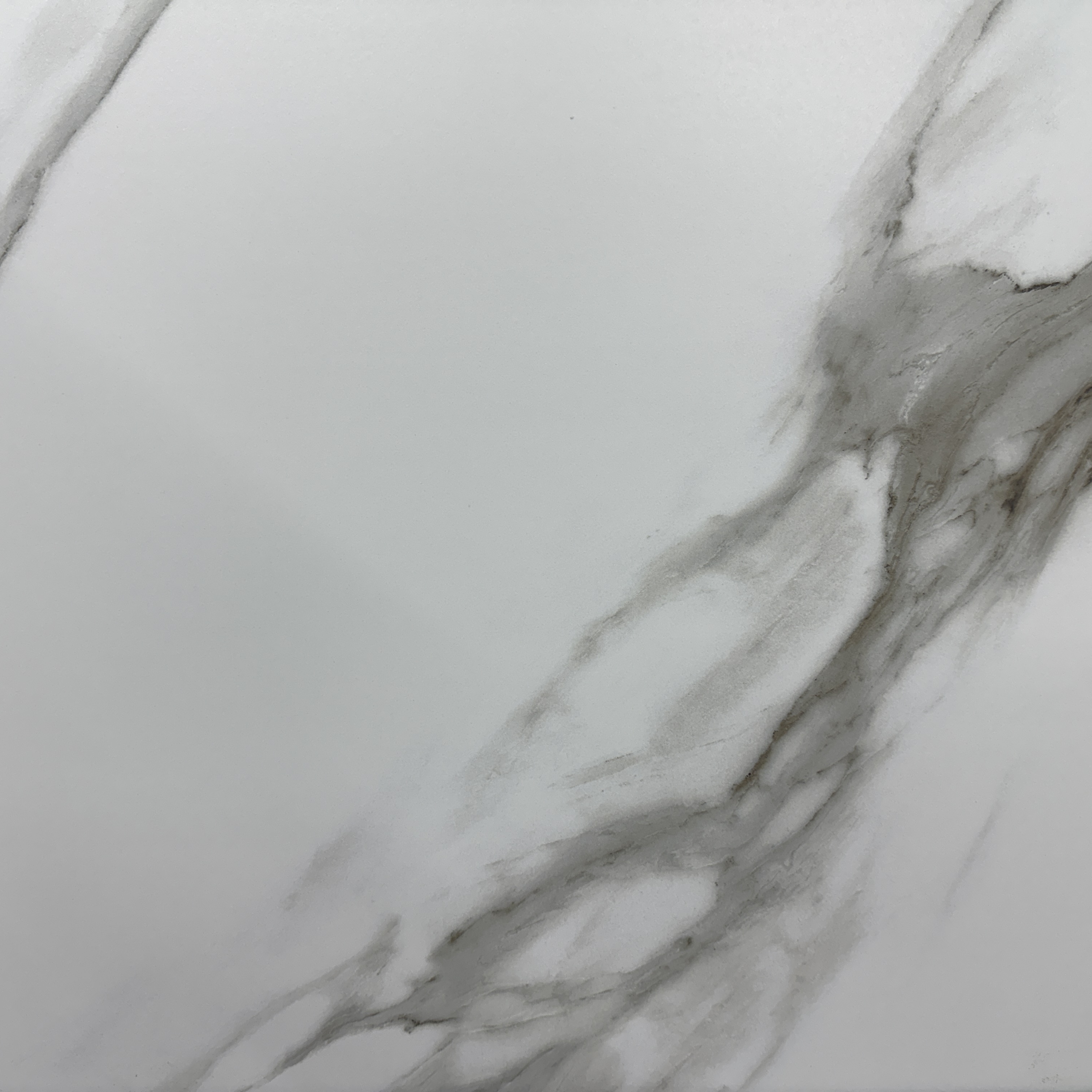 Altair White Matte 24'' x 24''