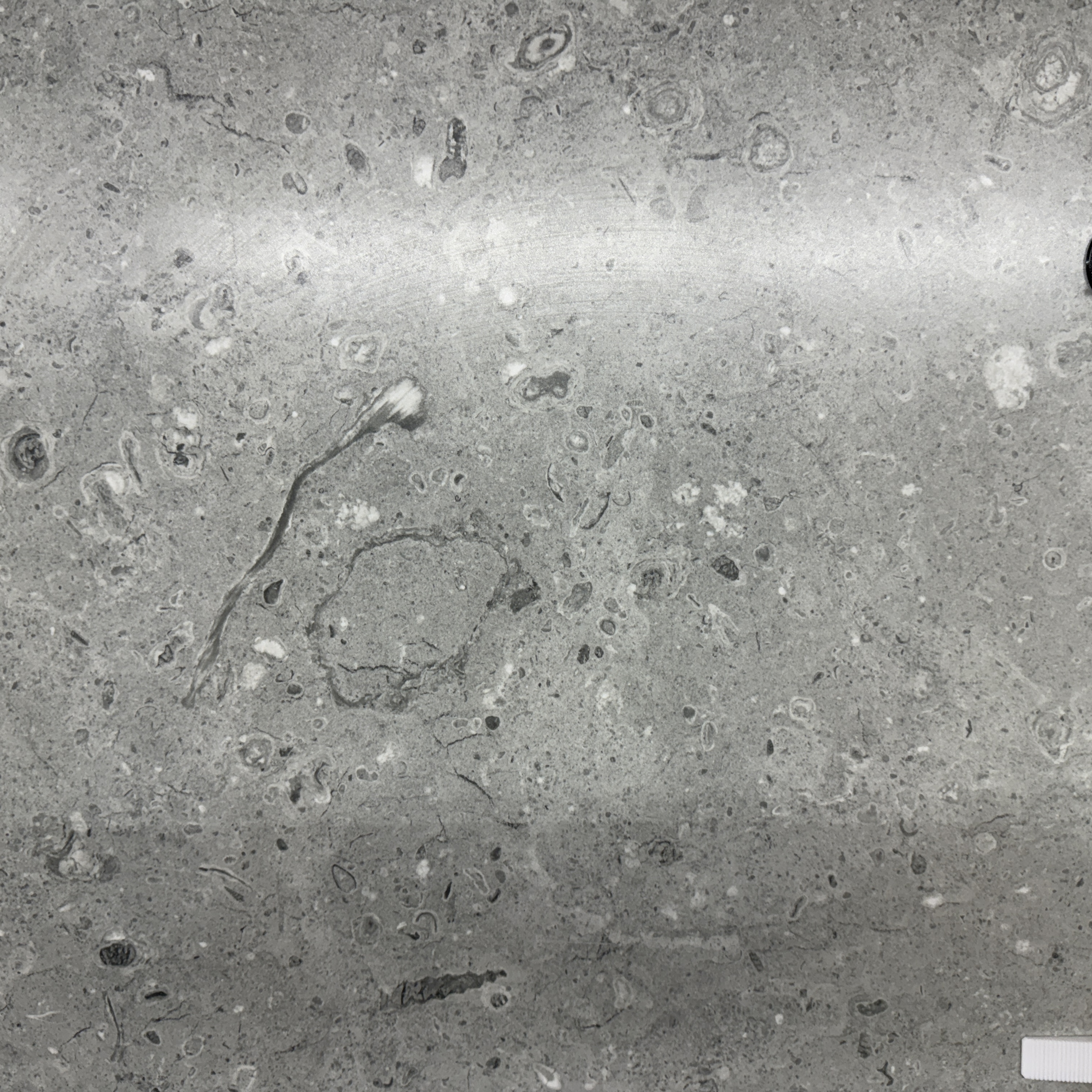 Arneb Gray 24'' x 24''