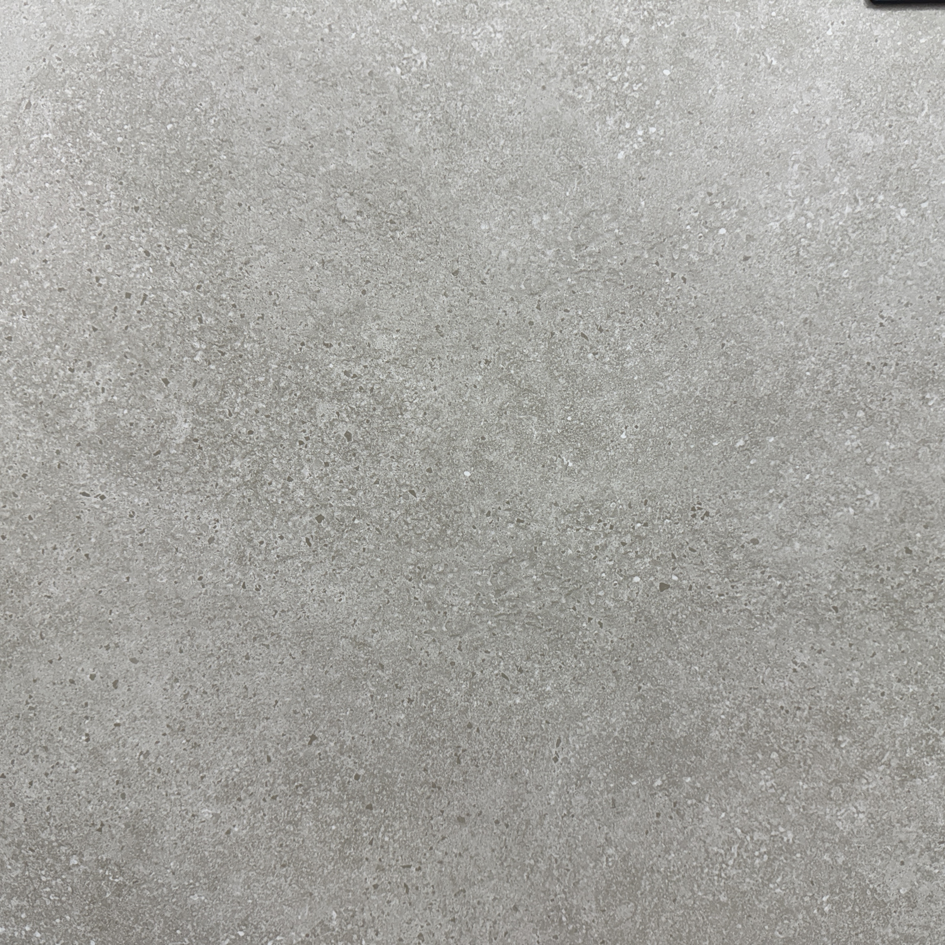 Atlas Taupe Mate 24'' x 24''