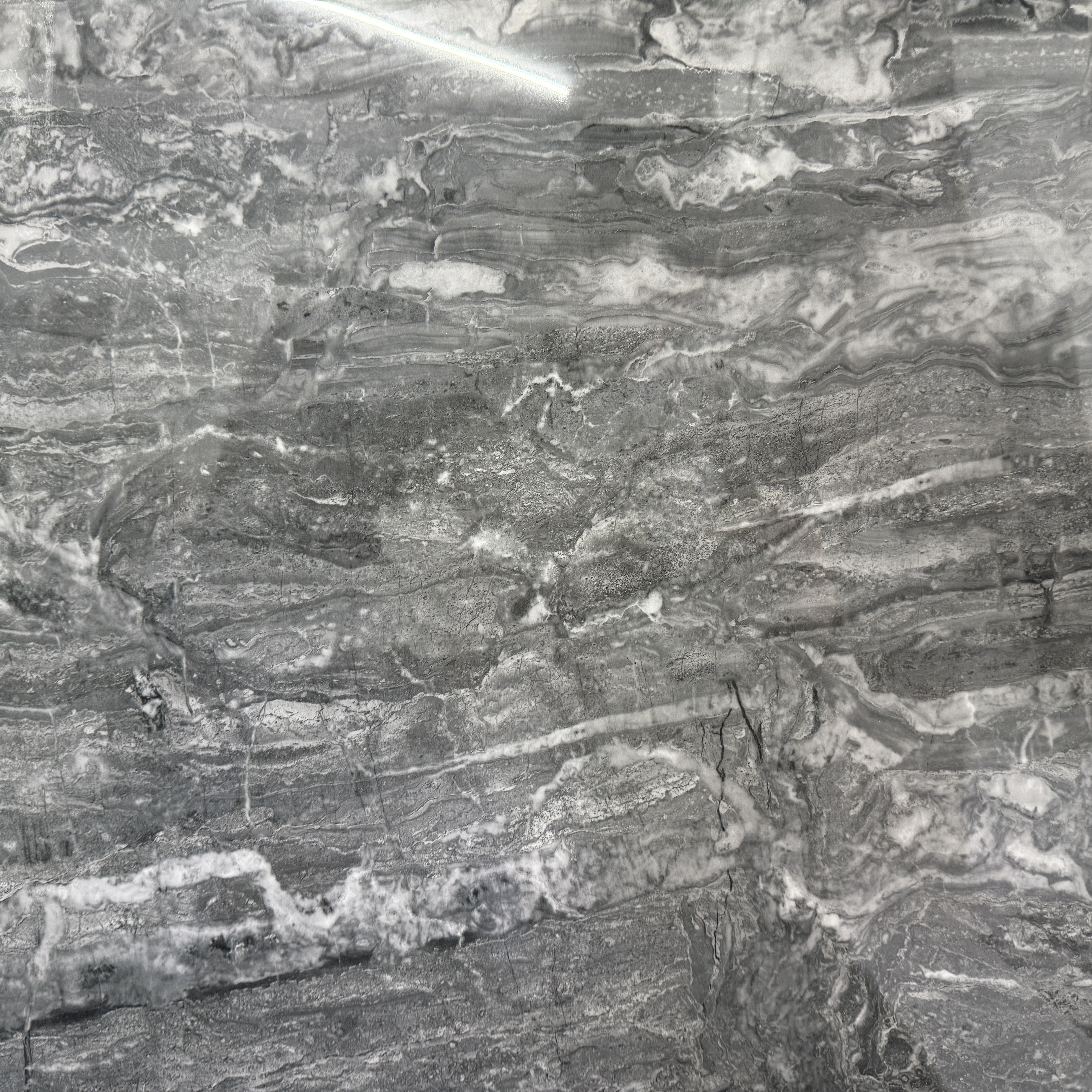 Deli Gray 24'' x 24''